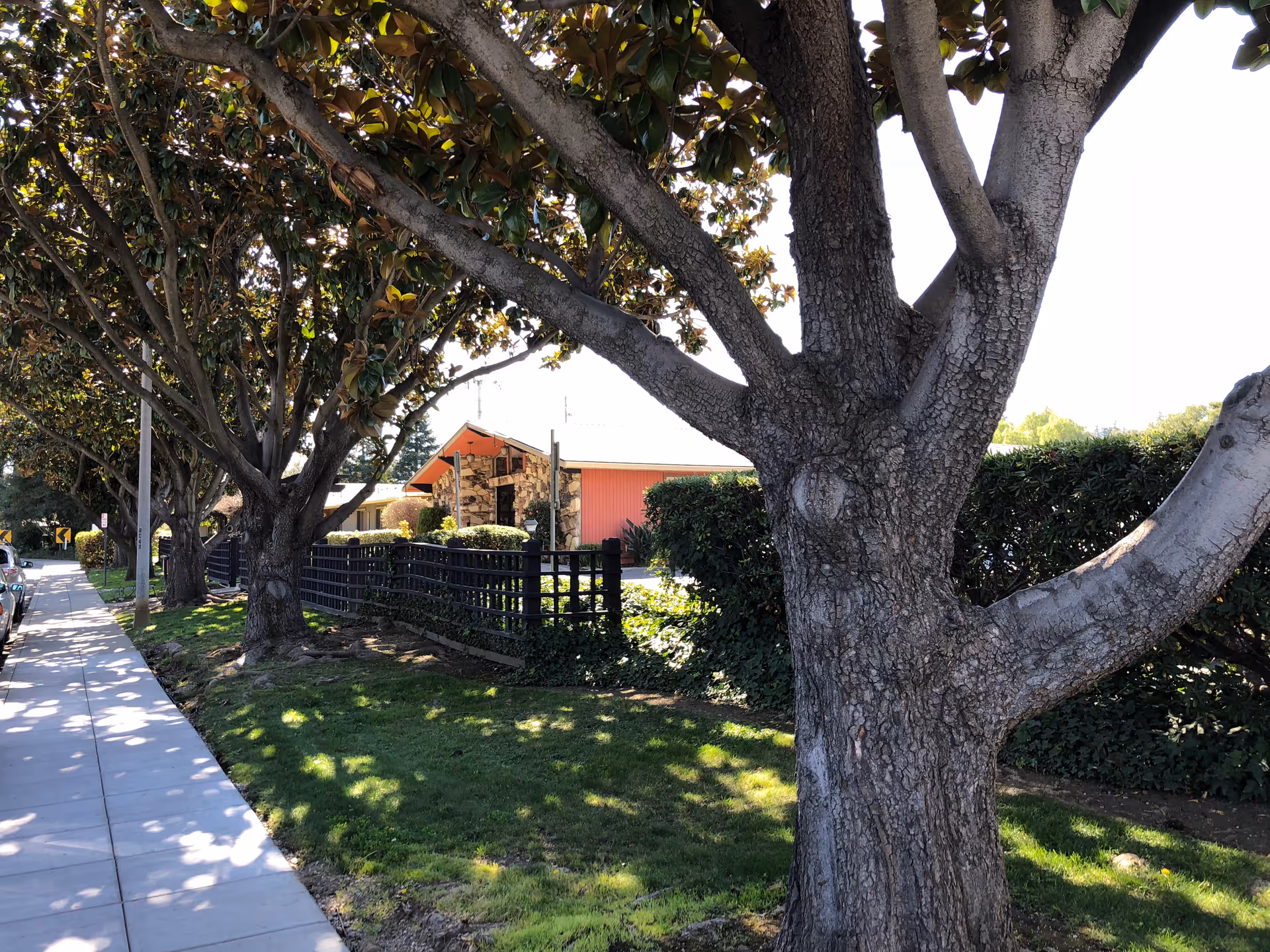 Tree-lined sidewalk beside a fence and the Sunnyvale Post-Acute Center exterior.