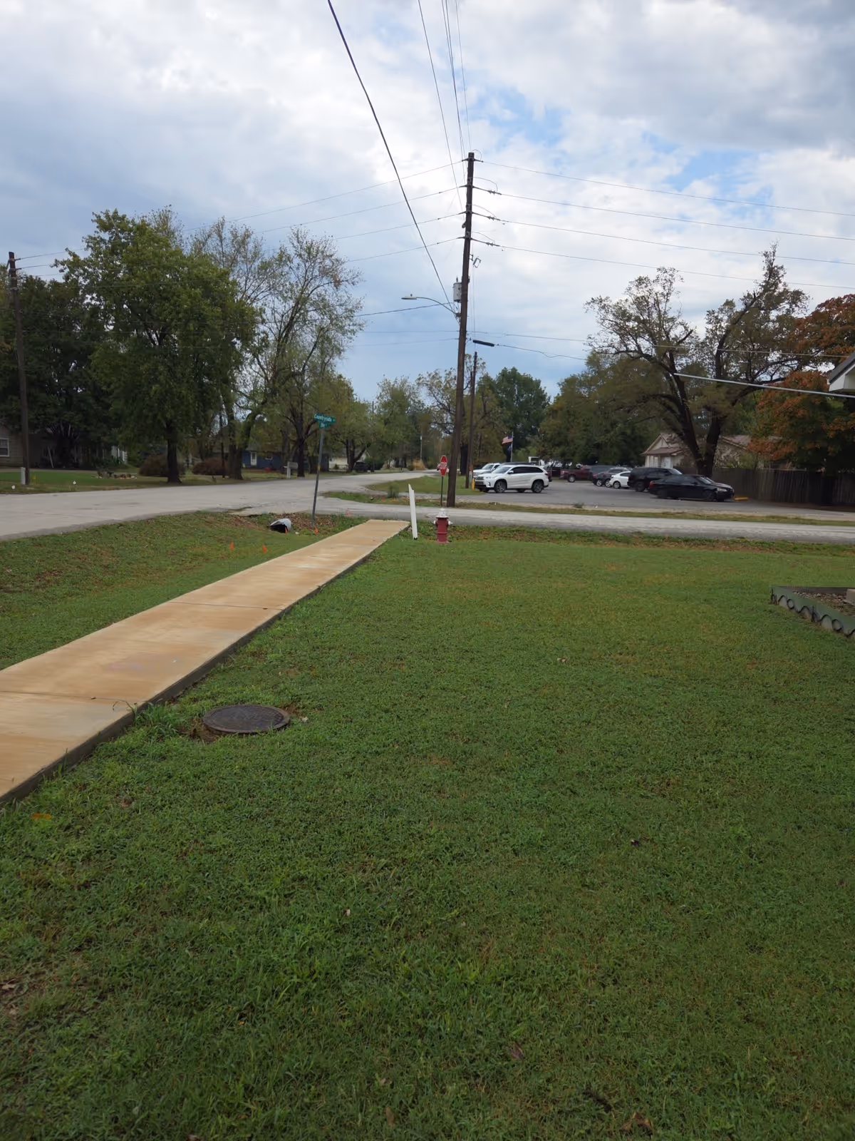 View of a grassy lawn, sidewalk, and street with trees and power lines.