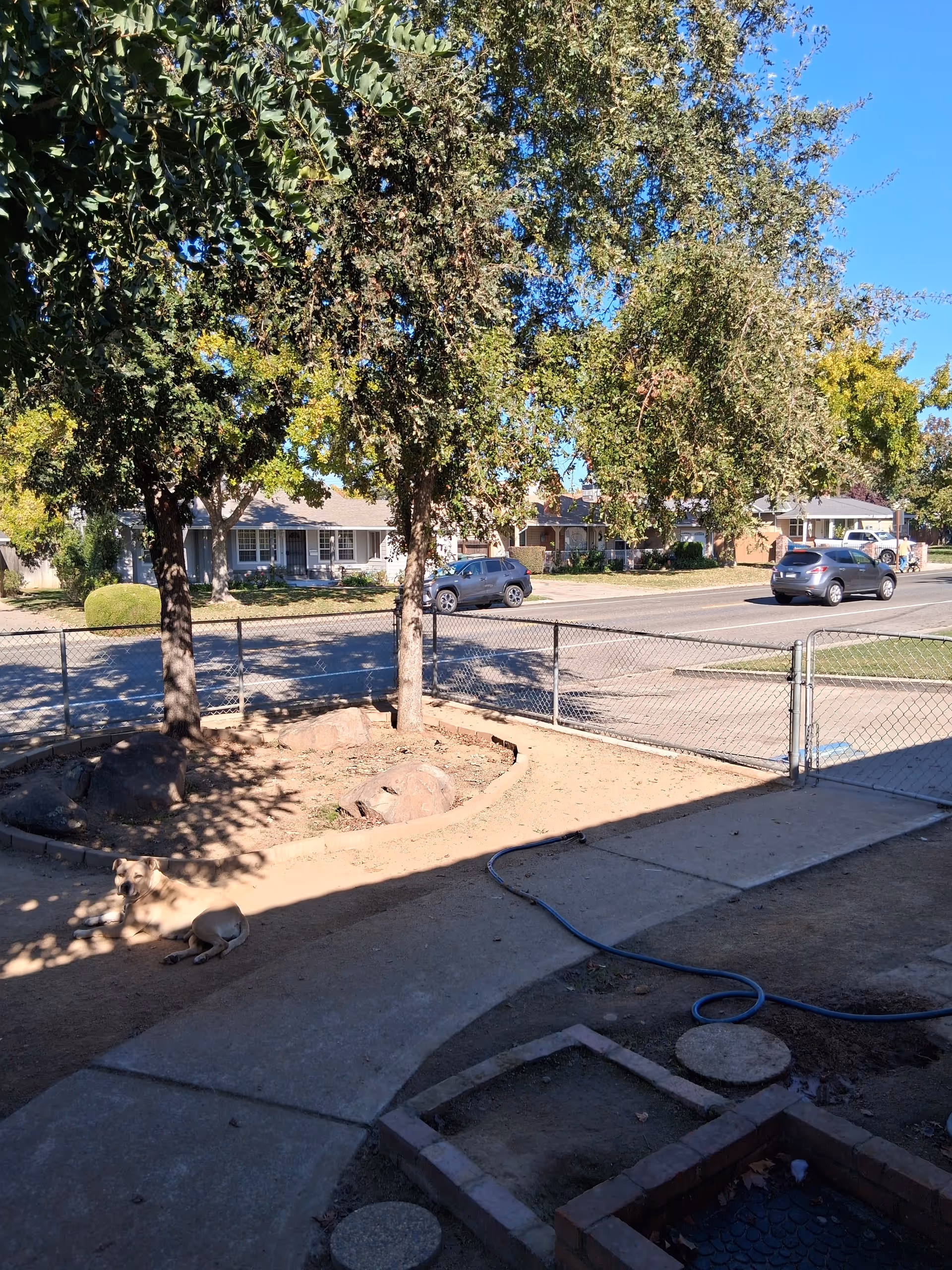Outdoor view of a senior living facility exterior with trees, fence, street, and a dog.