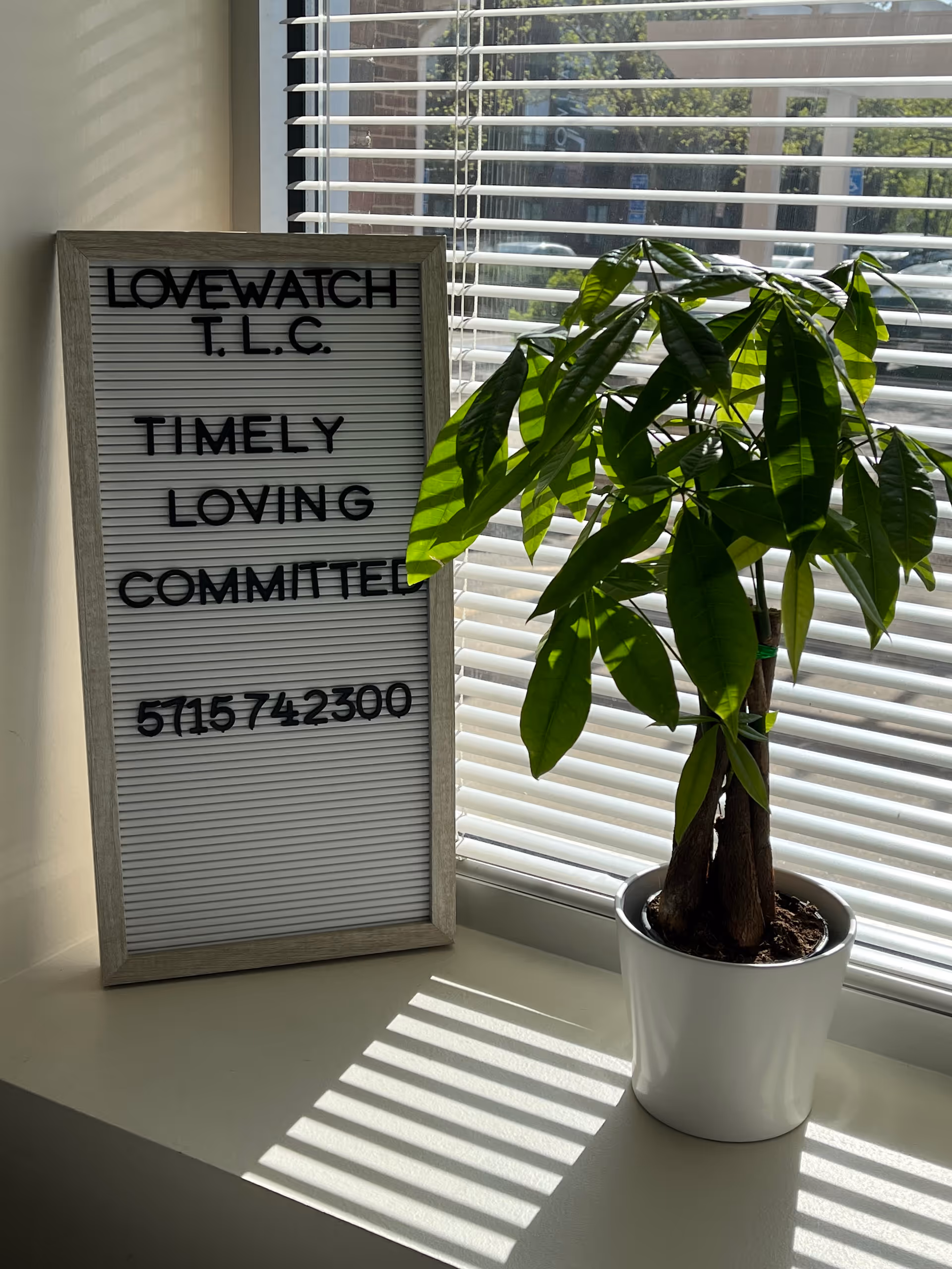 Sunlight through blinds illuminates a signboard beside a potted plant on a windowsill.