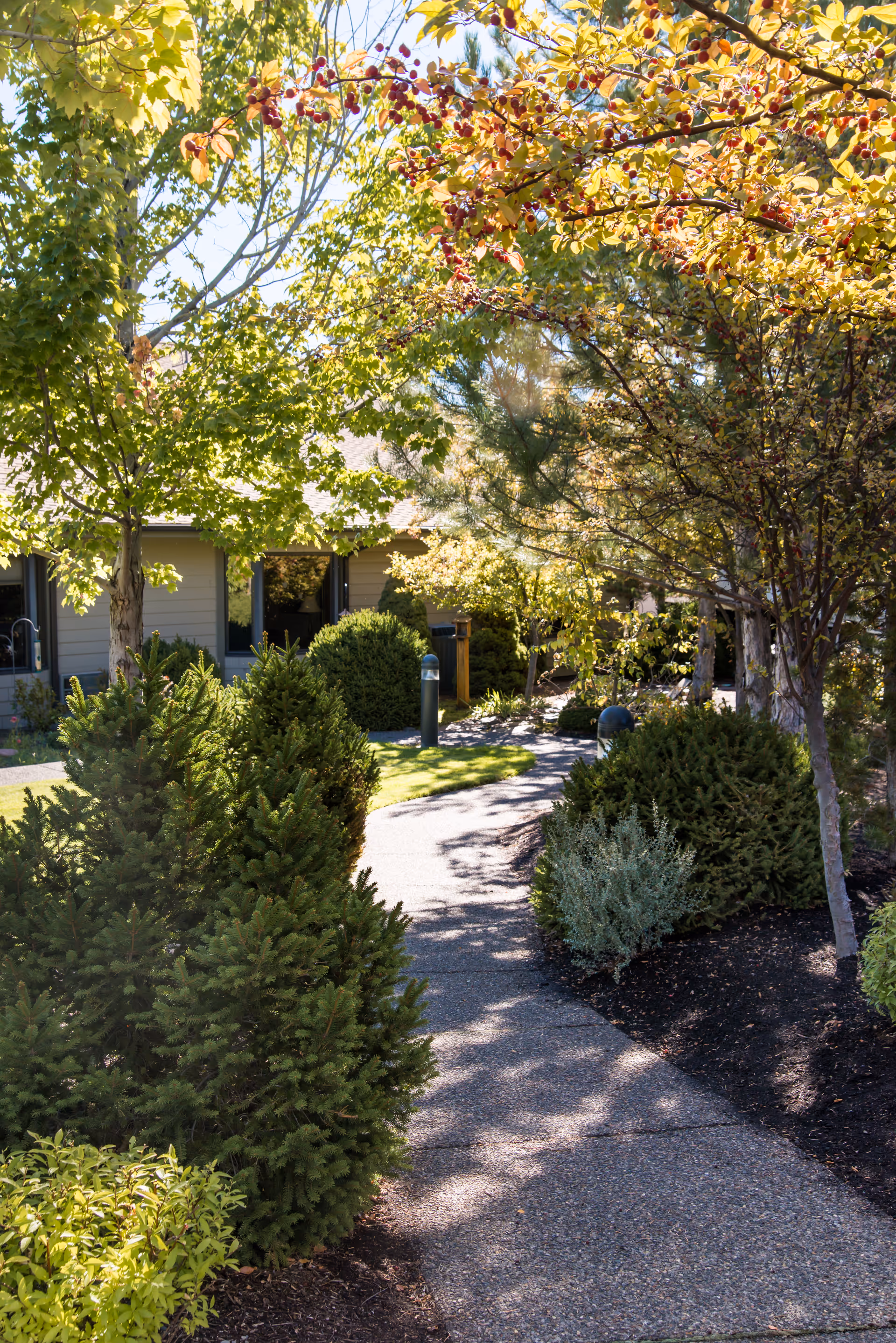 A paved walkway curves through well-kept landscaping toward the entrance of a senior living building.