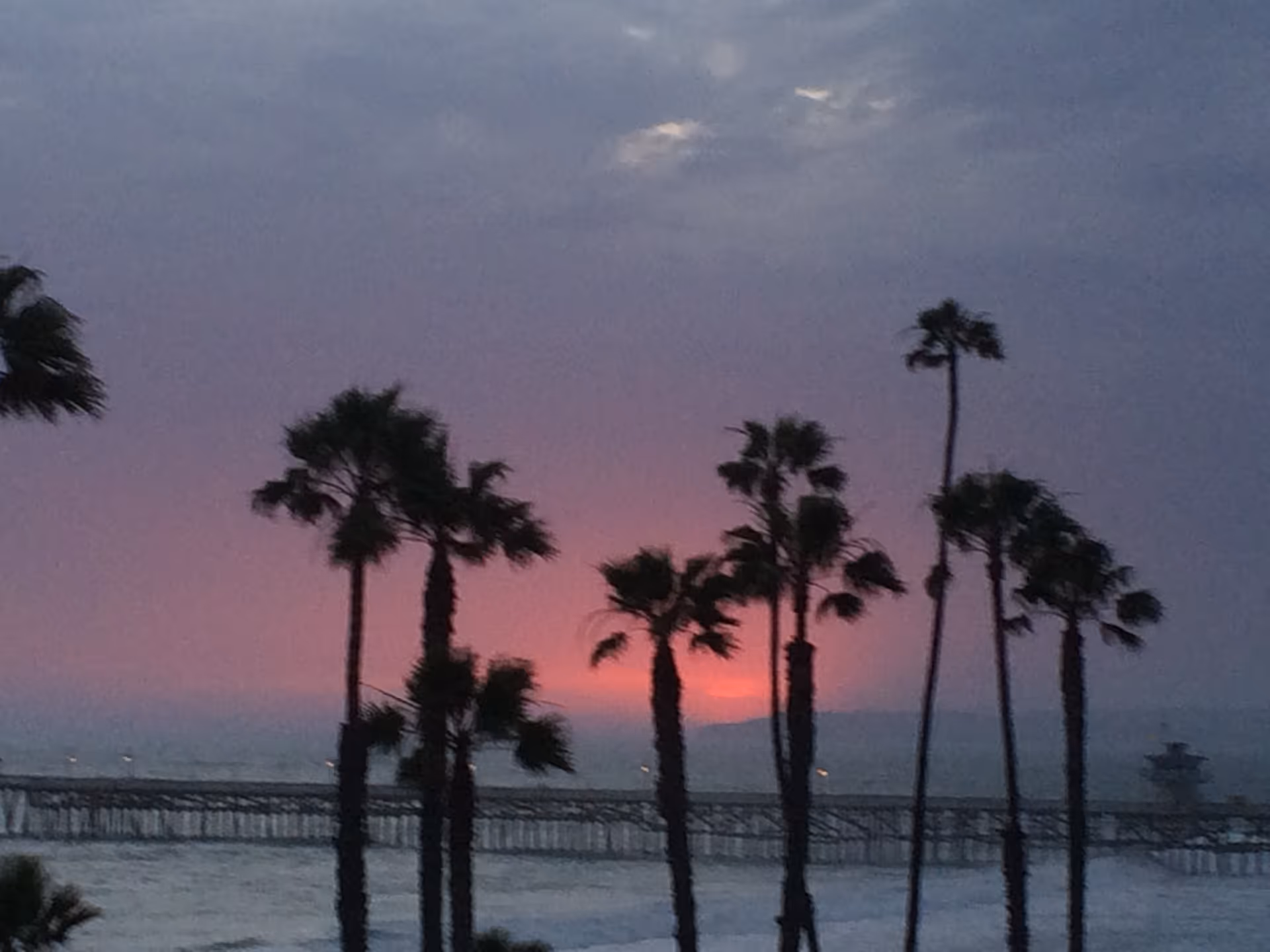 Silhouetted palm trees along a pier at sunset over the ocean.