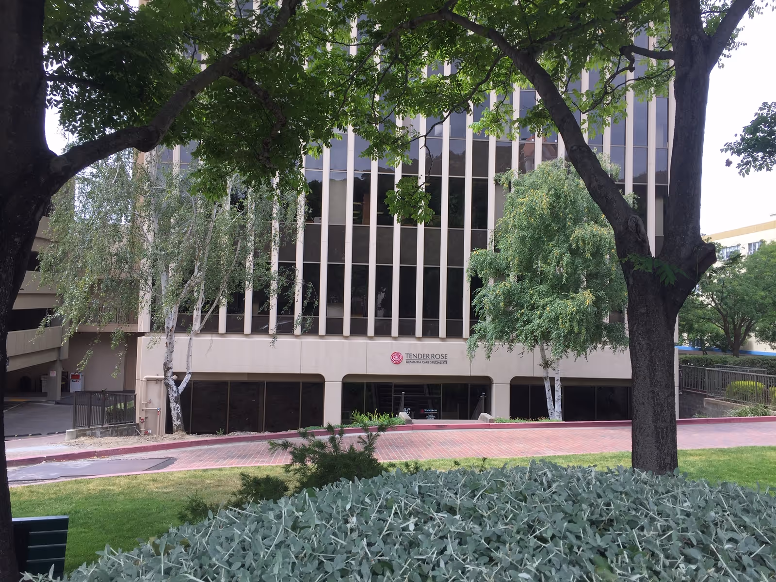 Exterior view of Tender Rose Dementia Care Specialists building with tall windows and trees.