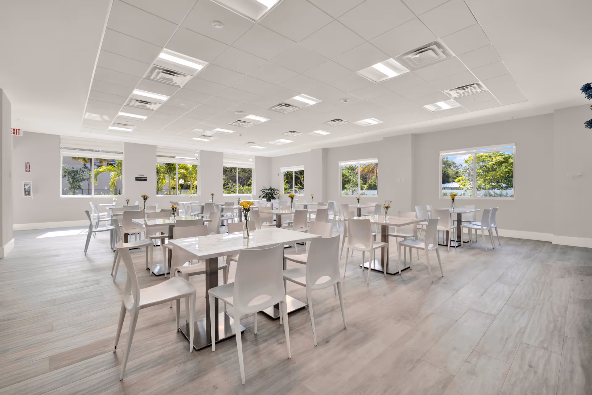 Bright, modern dining hall with white tables, chairs, large windows, and minimal decor.