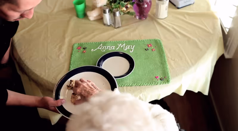 Person hands a plate of food to a white dog at a decorated dining table.