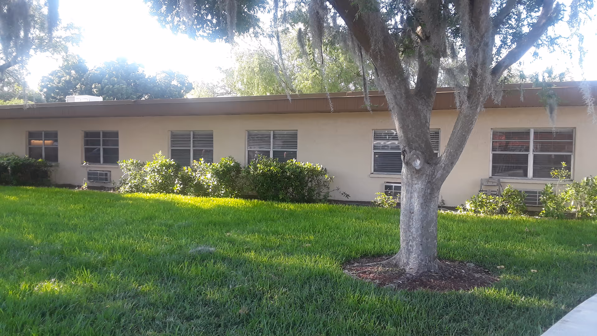 Single-story beige facility with multiple windows, green lawn, and a large tree in front.