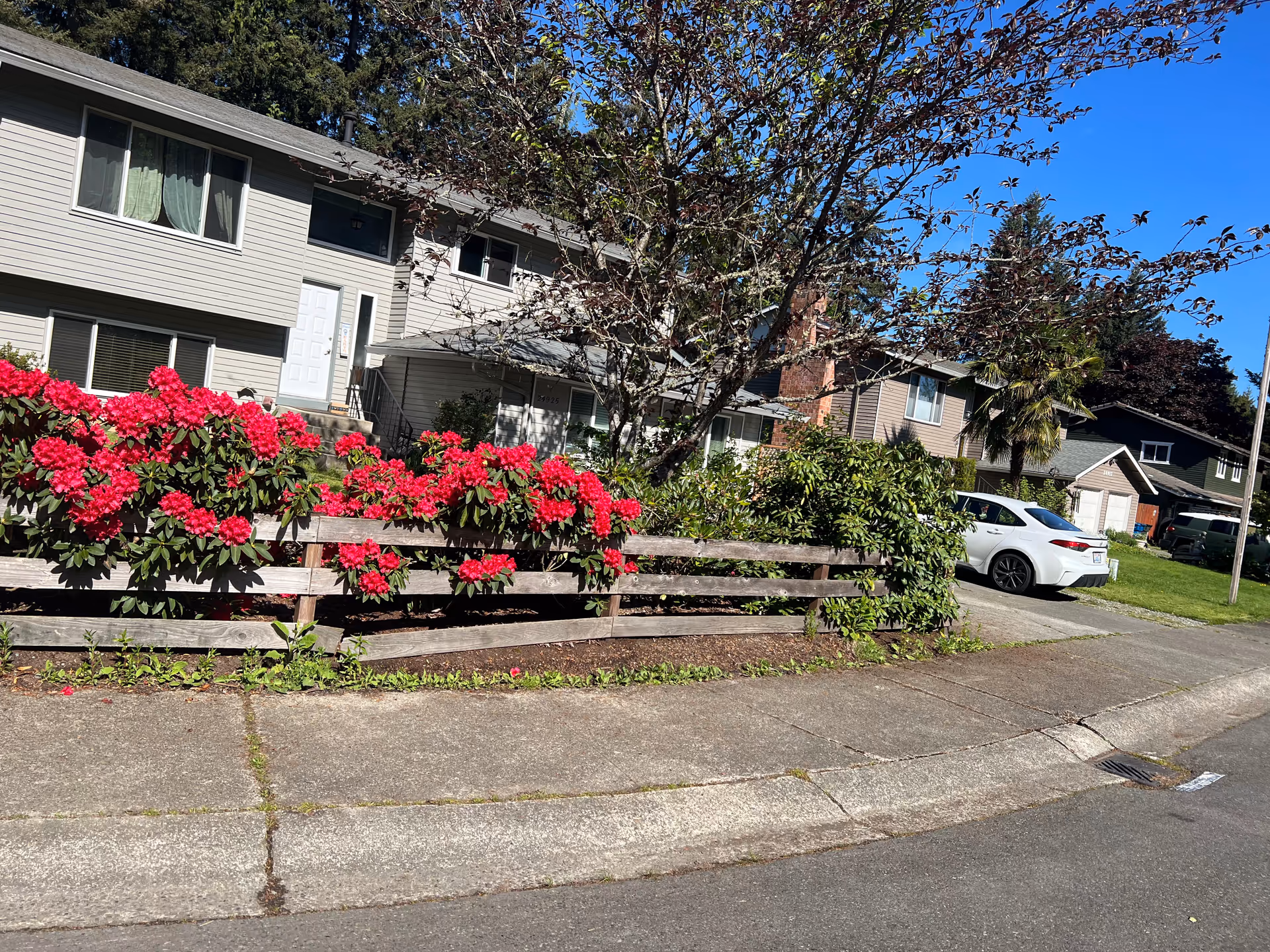 Senior living facility exterior with fence, pink flowers, and a parked car