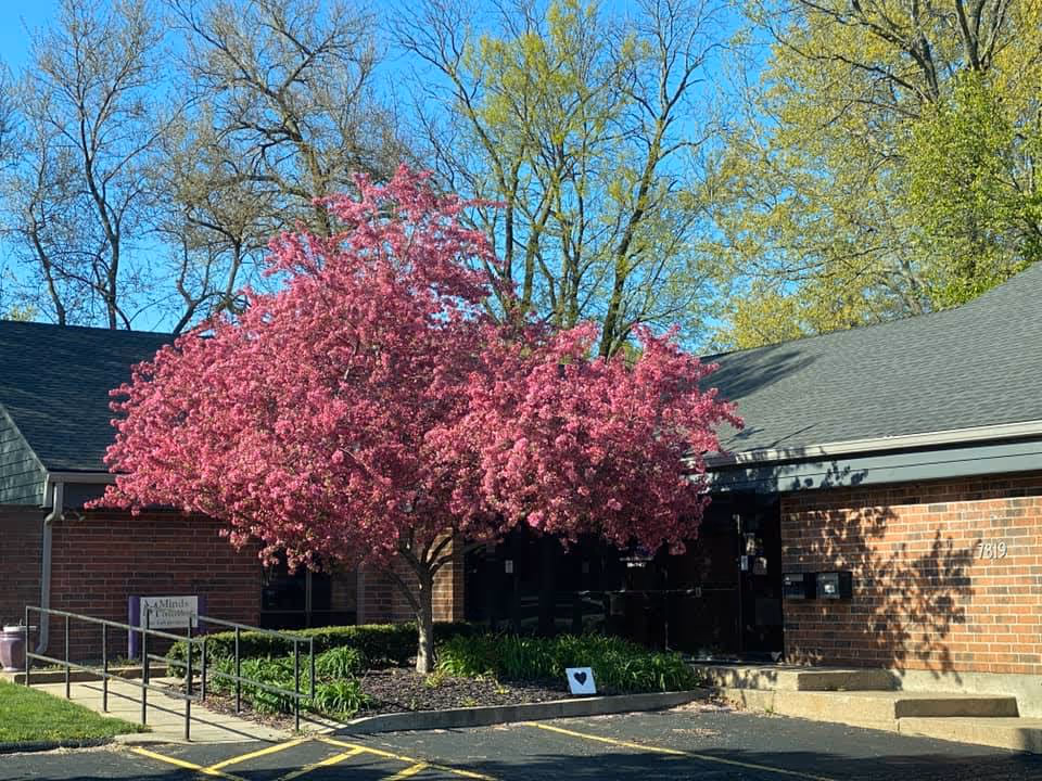 Brick senior living facility exterior with a pink flowering tree near the entrance.