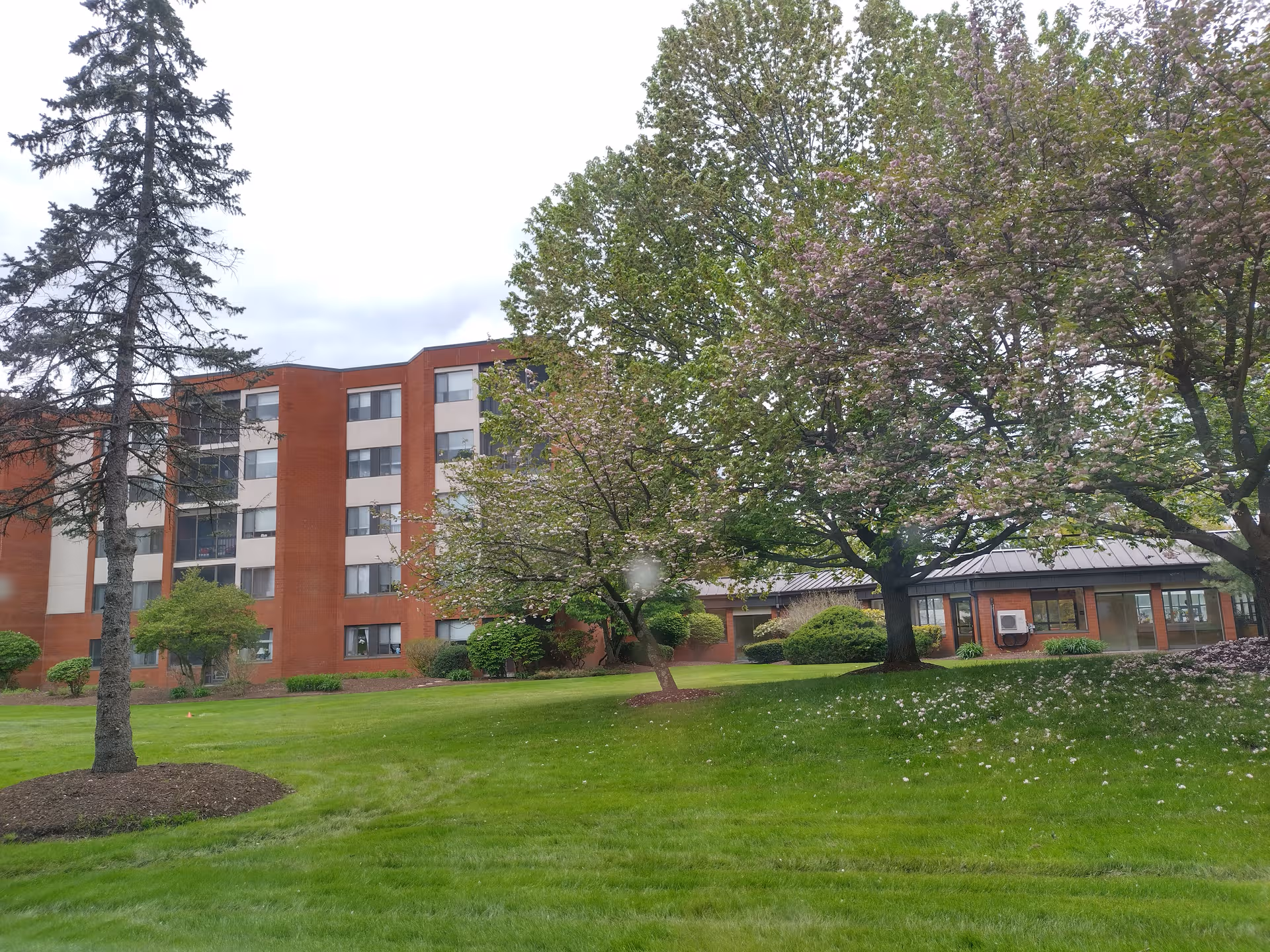 Brick senior living building with green lawn and blooming trees in a spacious outdoor area