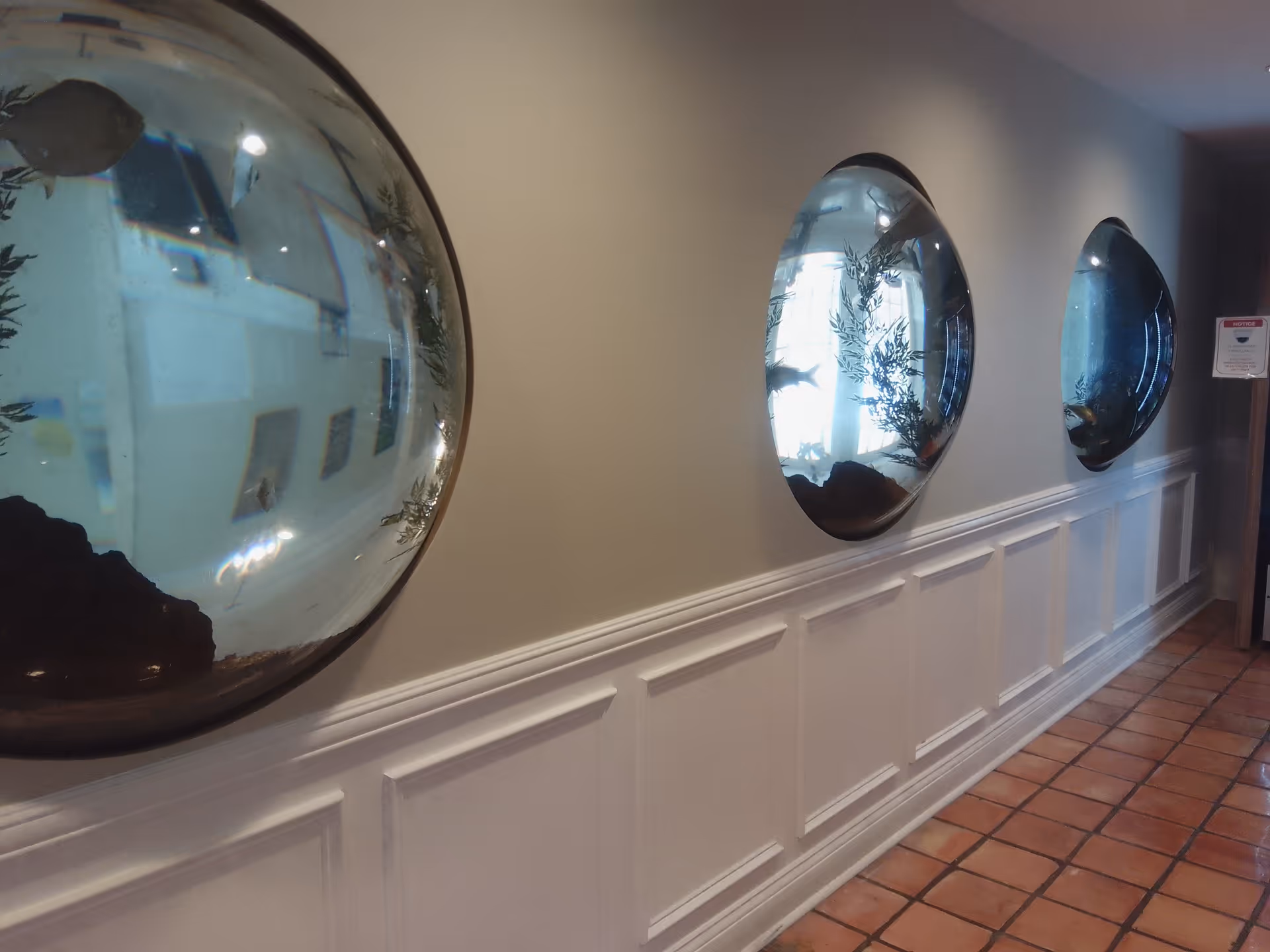Interior hallway at Apache Junction Health Center featuring circular wall windows.
