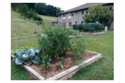 A raised garden bed with leafy plants sits in a grassy yard near a residential building.