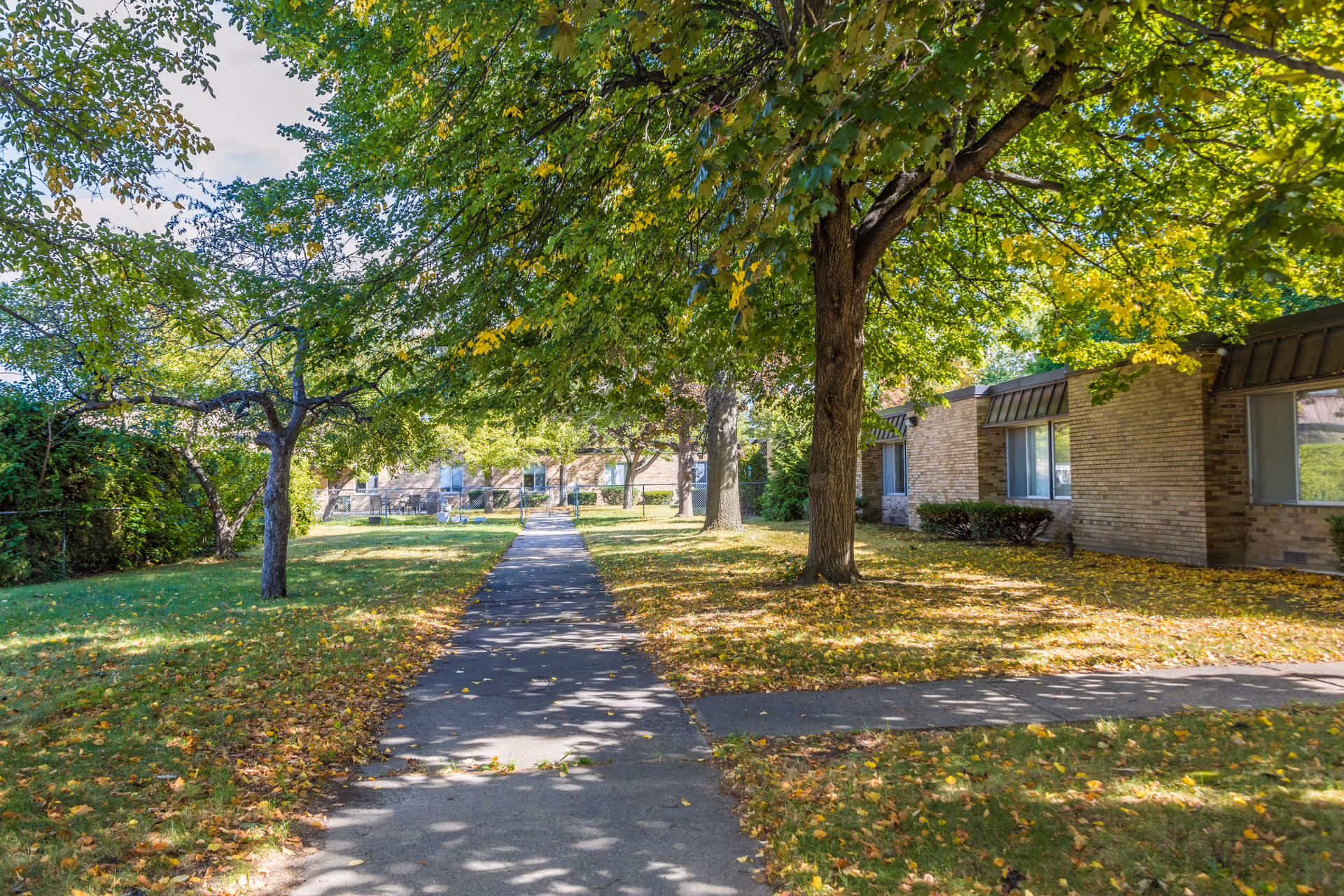 Concrete walkway lined with trees and fallen leaves leading to a low brick building and lawns on a sunny day.