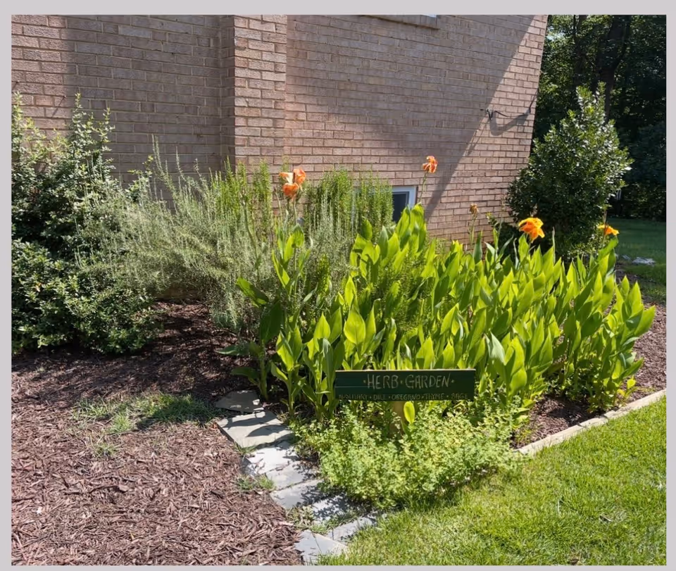 Herb garden with bright green plants grows beside a brick building exterior.