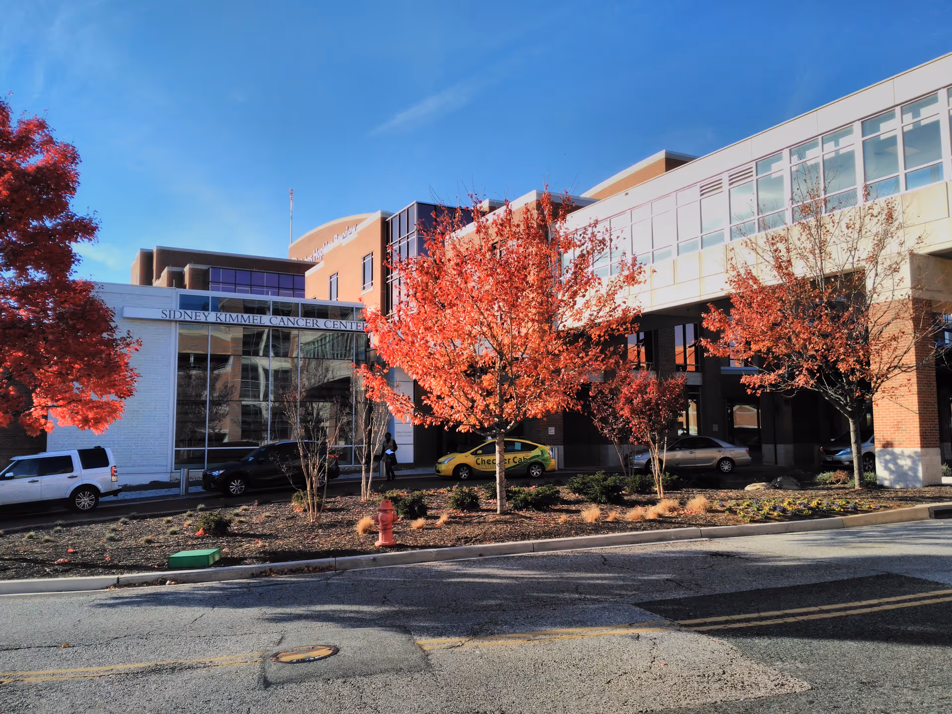 Exterior view of a modern medical building with red trees and parked cars.
