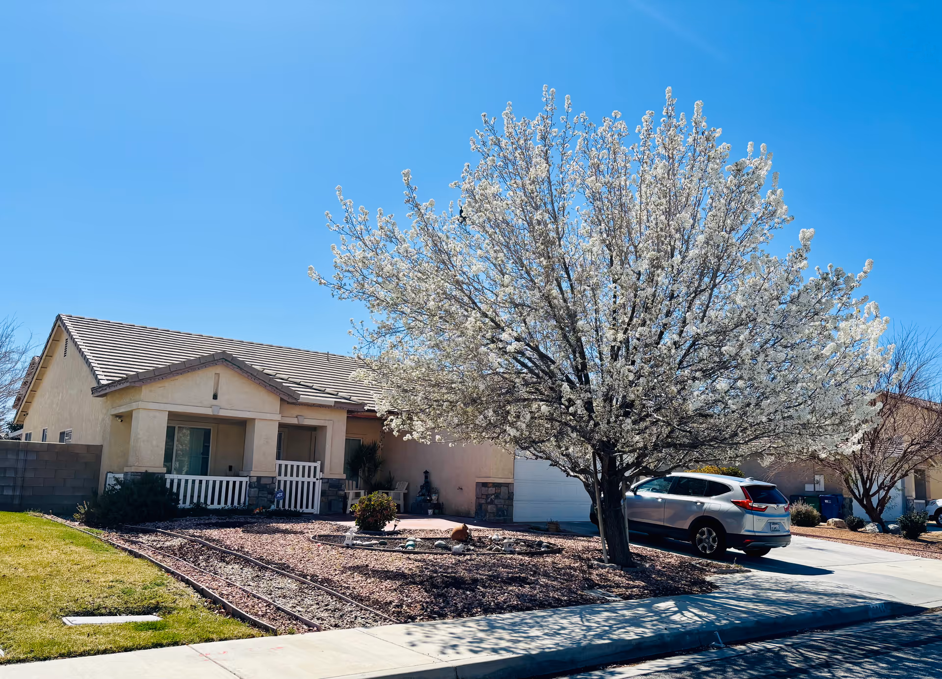 Front view of a single-story senior living facility, with blooming tree and a parked car.