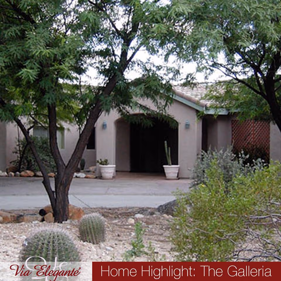 Entrance to Via Elegante Mediterranean with desert landscaping and large trees.