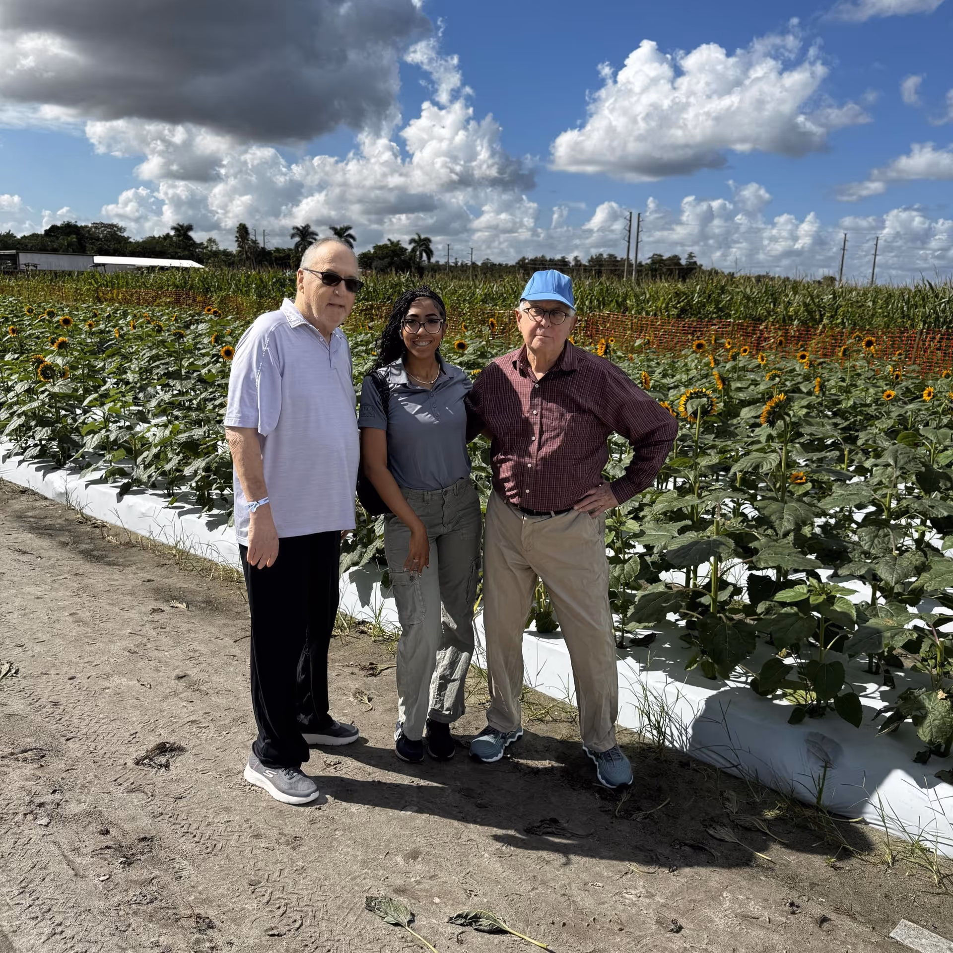 Two elderly men and a younger woman standing together on a dirt path next to a field of sunflowers under a partly cloudy blue sky.