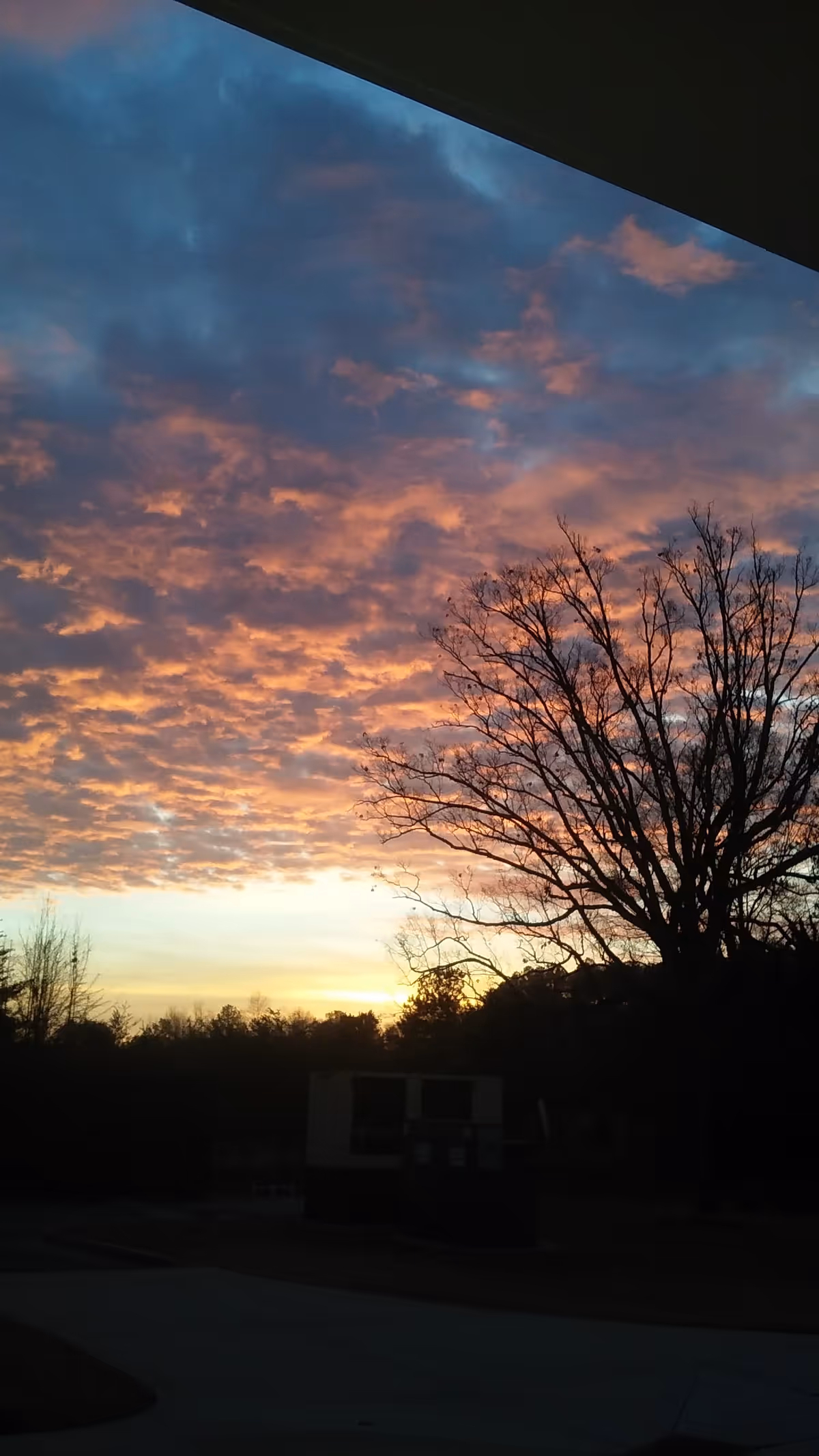 Sunset sky with pink clouds over bare trees and a small building.