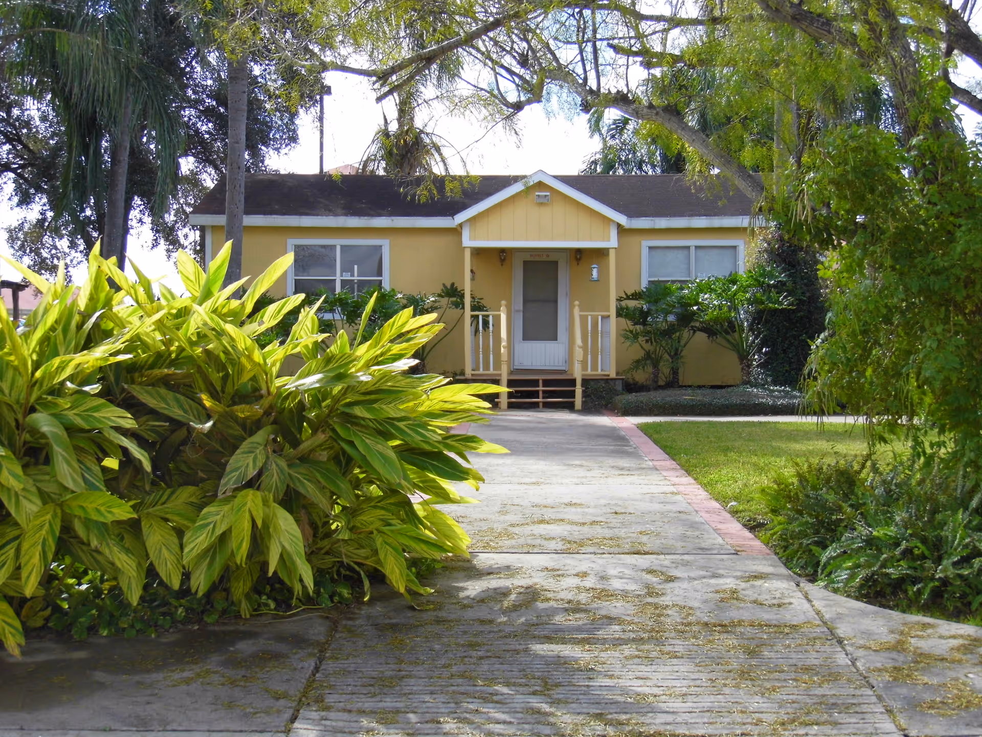 A small yellow single-story house with a white door and two windows, surrounded by green plants and trees. A concrete pathway leads up to the front porch with steps and railings.