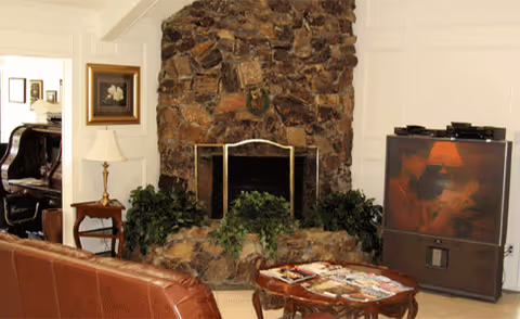 Cozy living room featuring a stone fireplace, plants, seating, and a TV cabinet.