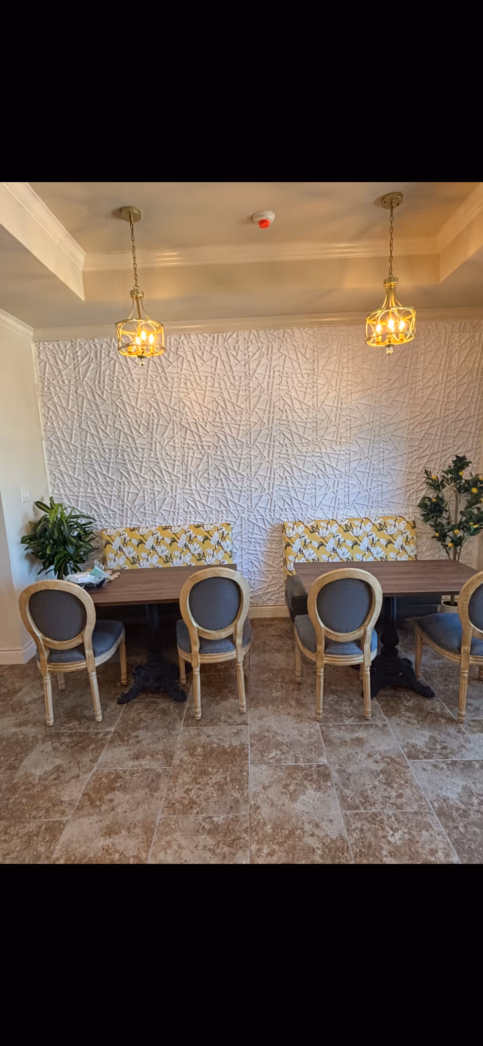 Dining room with a long table, upholstered chairs, patterned benches, pendant lights, and plants.