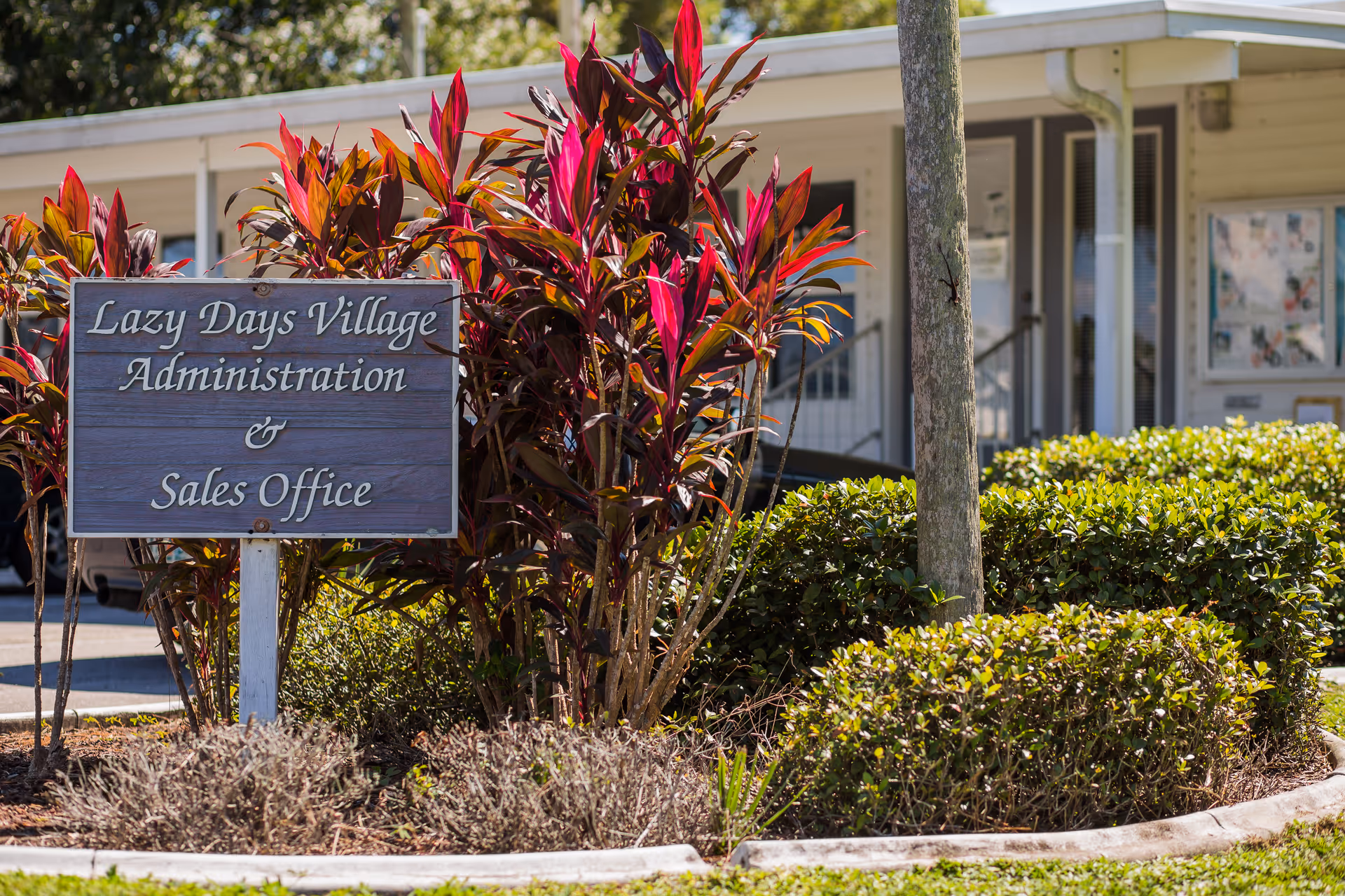 A wooden sign reading 'Lazy Days Village Administration & Sales Office' is placed in a landscaped area with red and green plants in front of a single-story building with windows and a door.