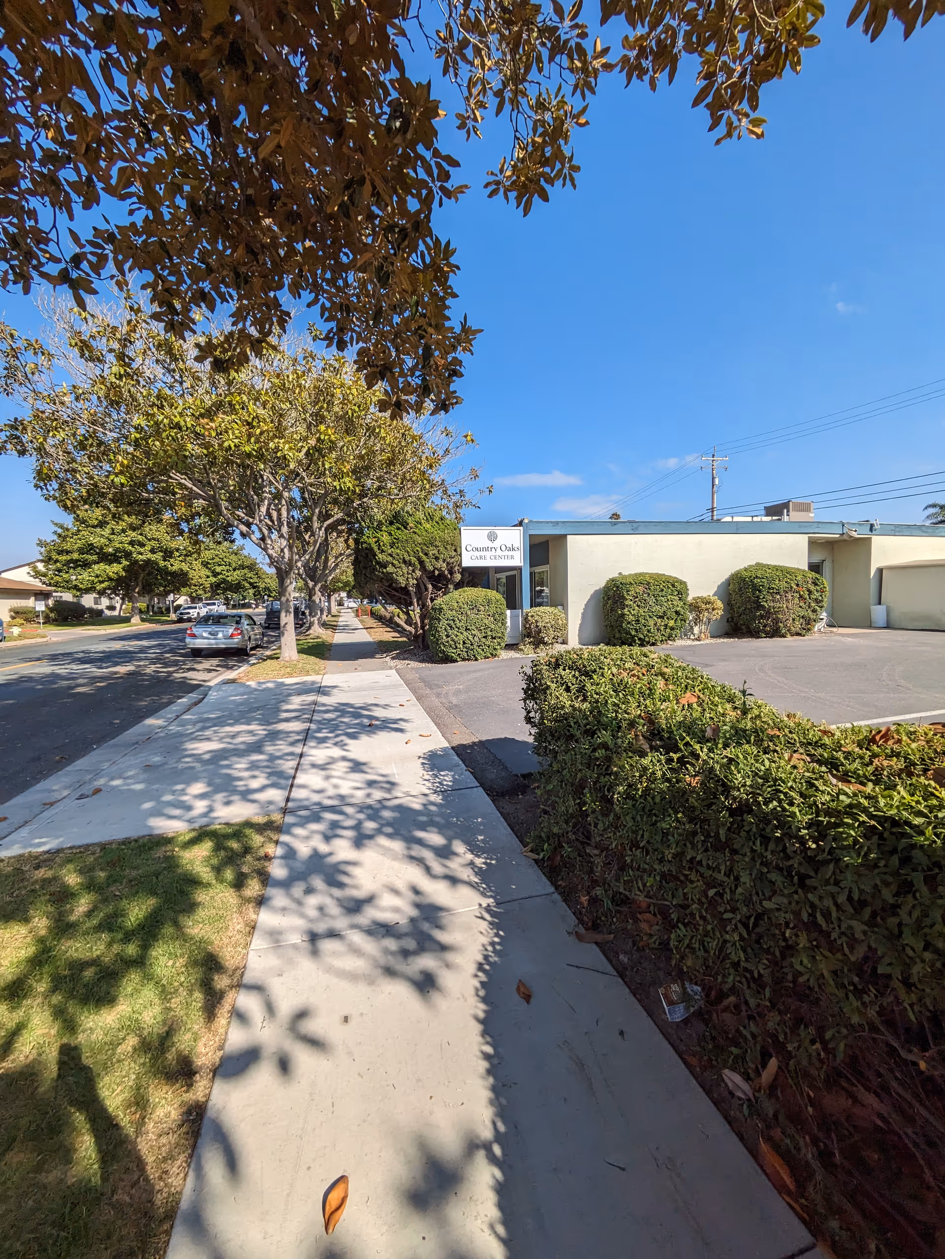 Sunlit street view of Country Oaks Care Center front with sign, trees, and parked cars.