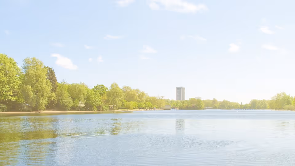 Sunlit lake with trees along the shore and a distant tall building.