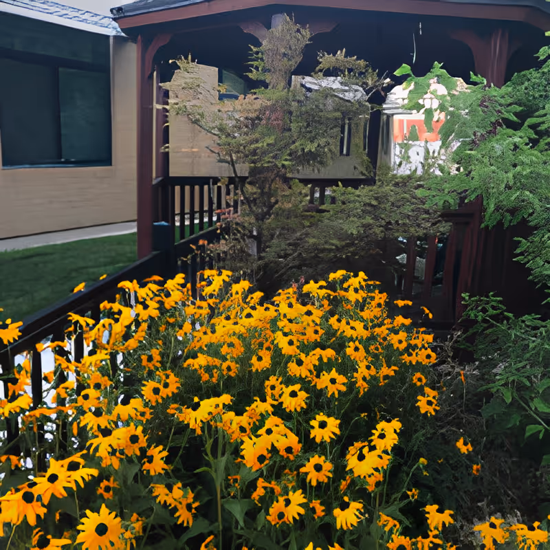 Bright yellow flowers bloom in a garden bed beside a wooden covered porch and building exterior.