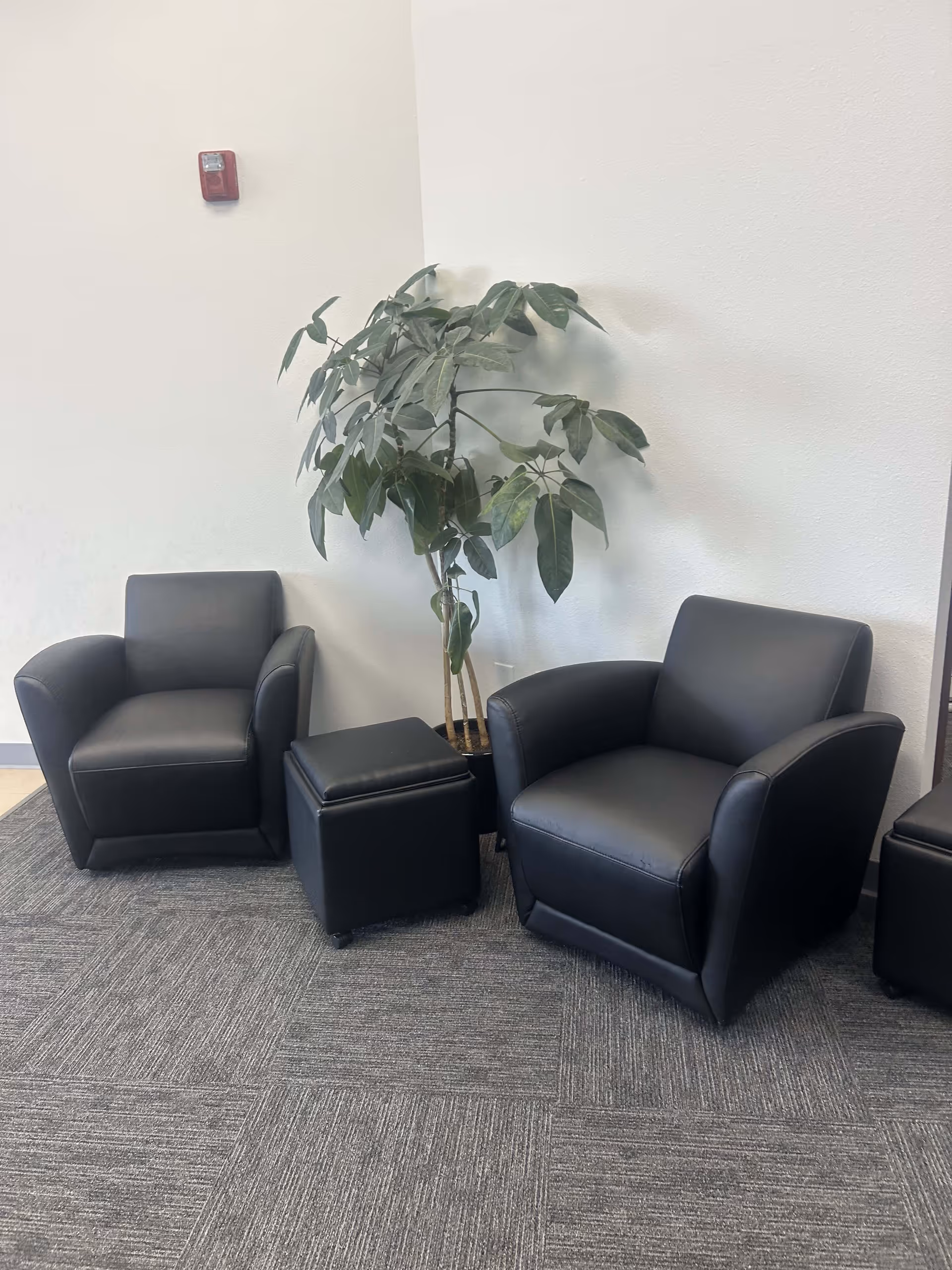 Lobby seating area with two black leather chairs, an ottoman, and a plant.