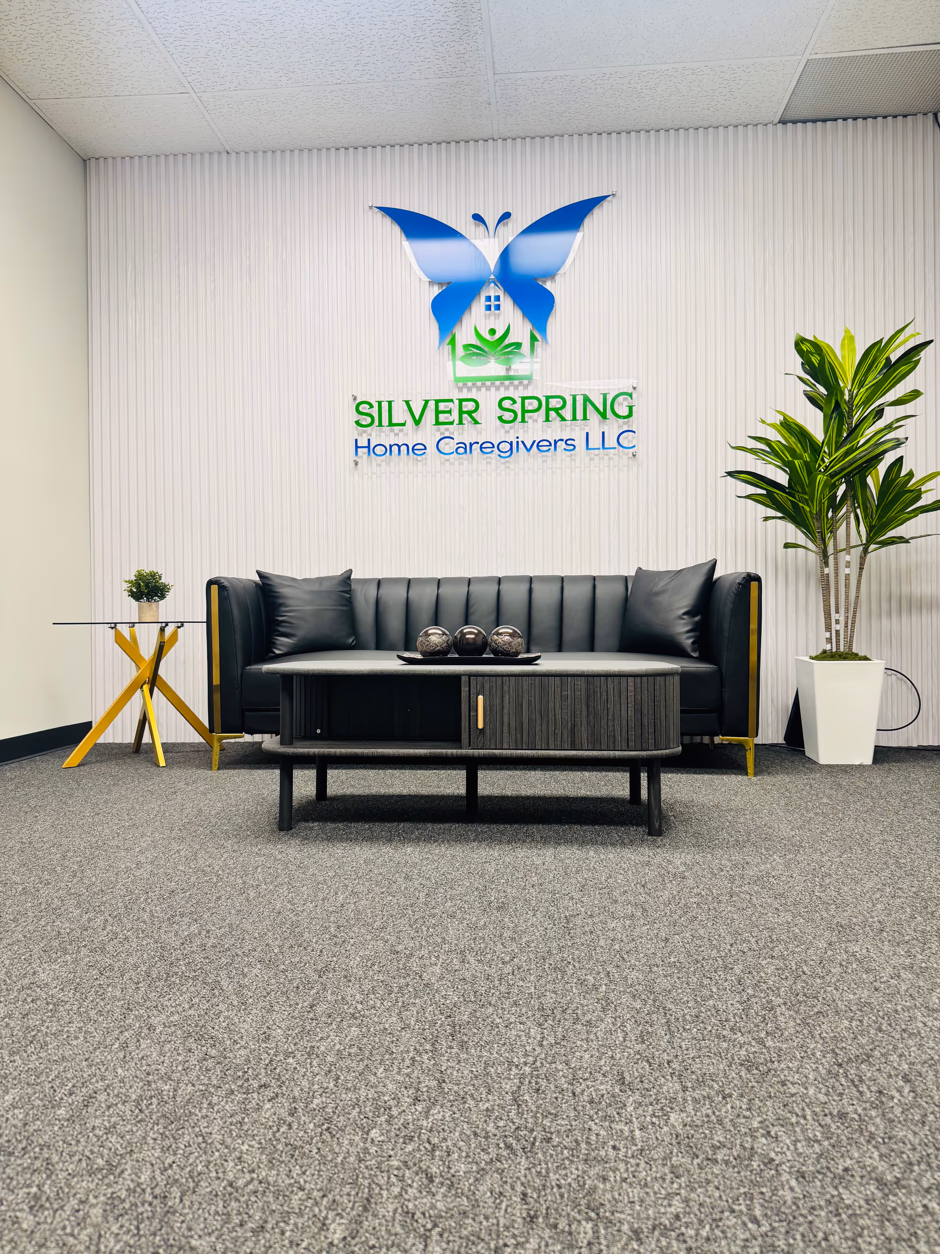 Indoor reception area with black sofa, coffee table, plants, and Silver Spring logo on wall.