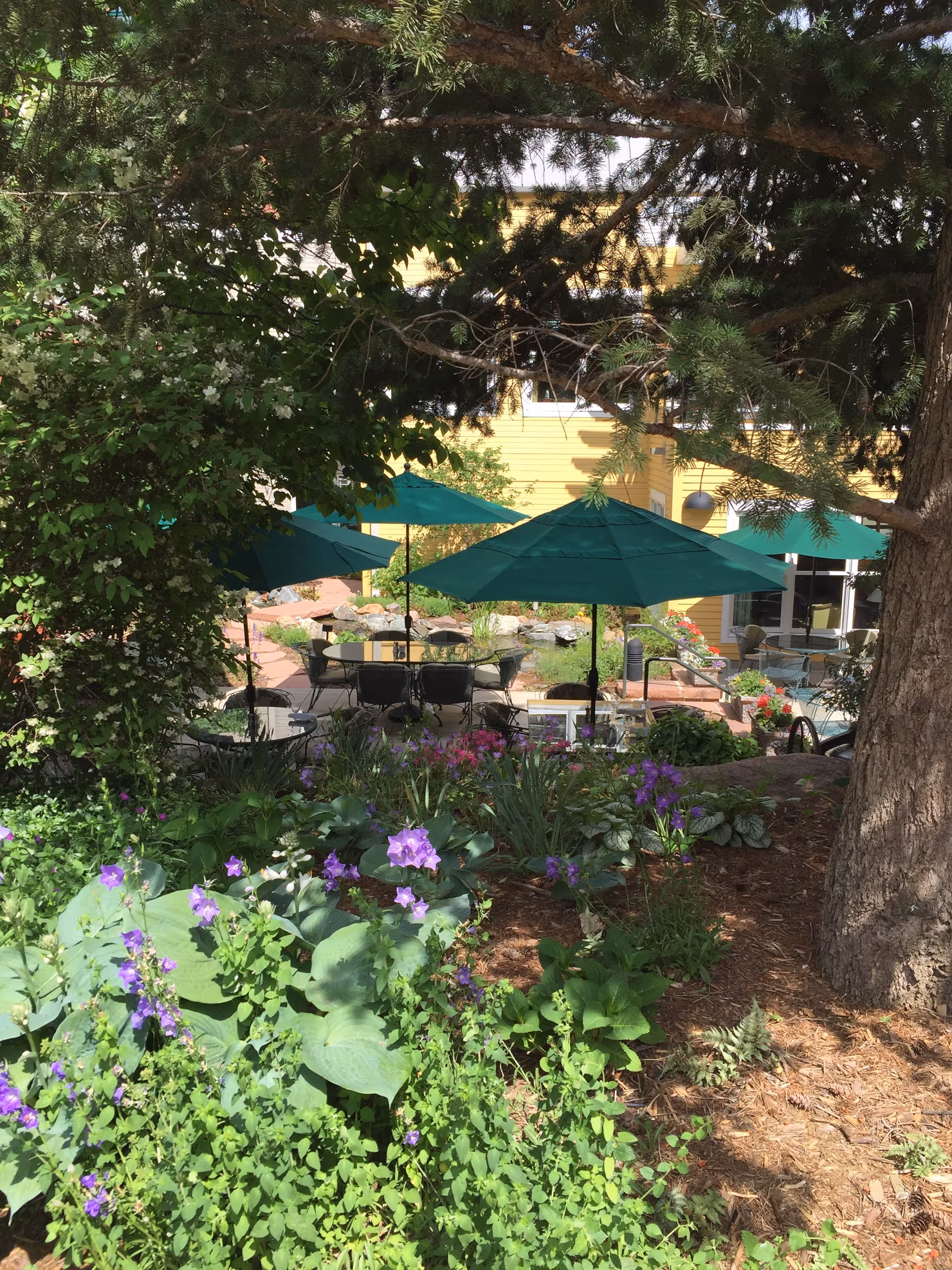Outdoor garden area with green plants and purple flowers in the foreground, large trees providing shade, and several green patio umbrellas over tables and chairs. A yellow building is visible in the background.