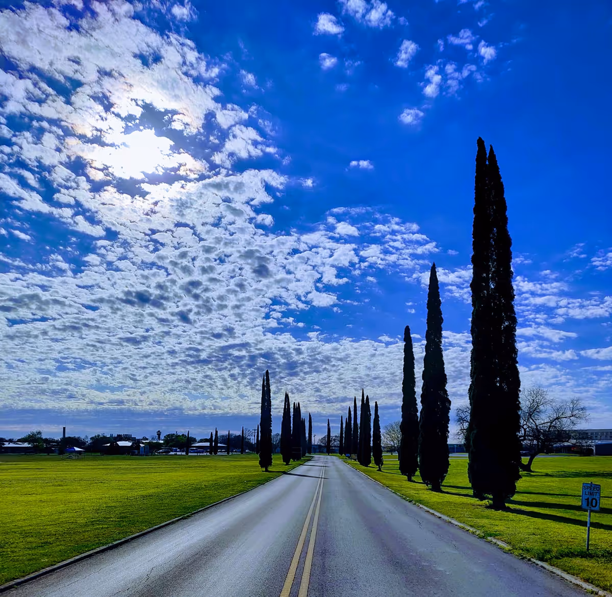 A straight road flanked by tall cypress trees under a vivid blue sky.