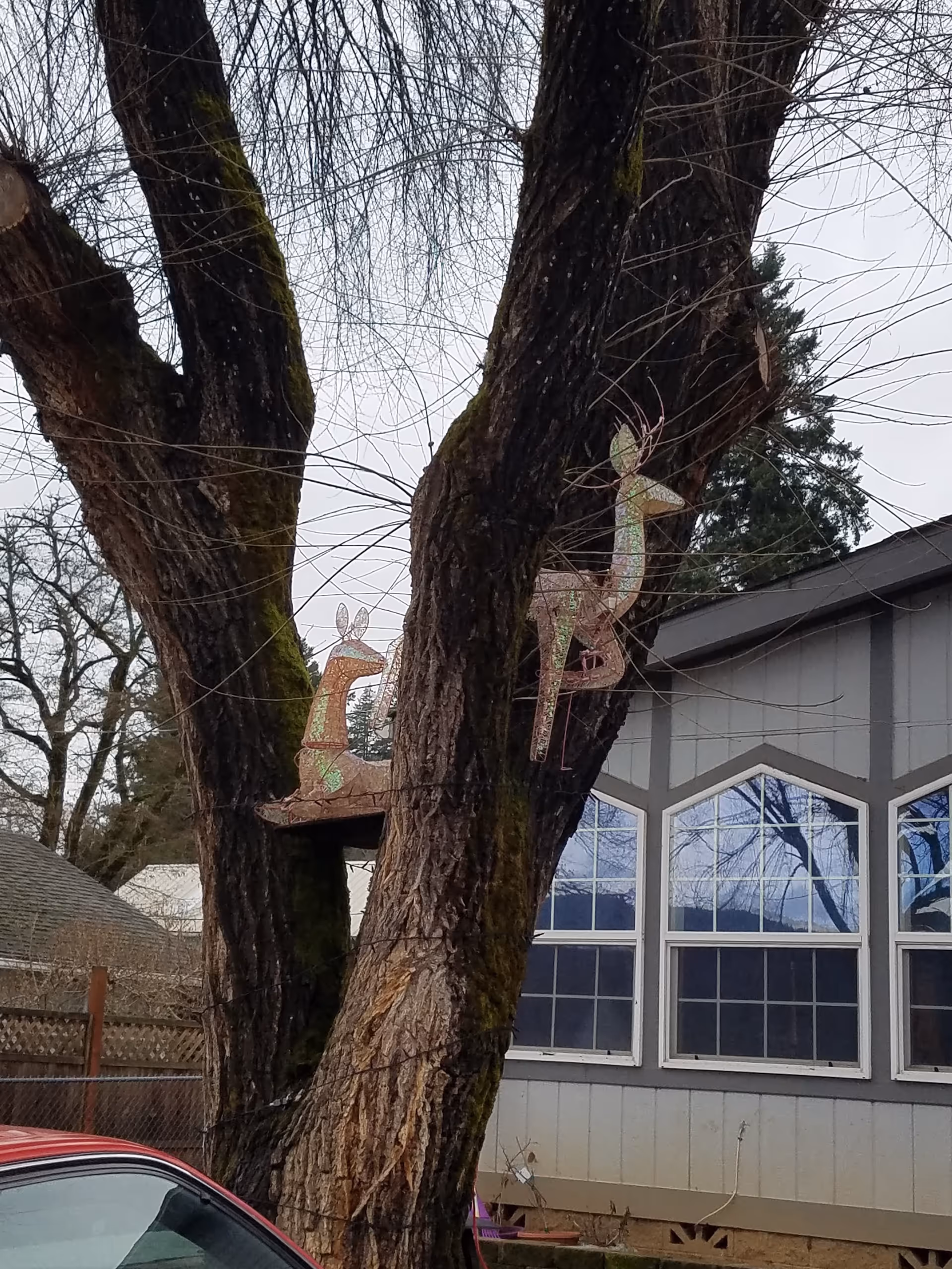 Front of a residential building with large windows, mossy tree trunks, and decorative animal cutouts.