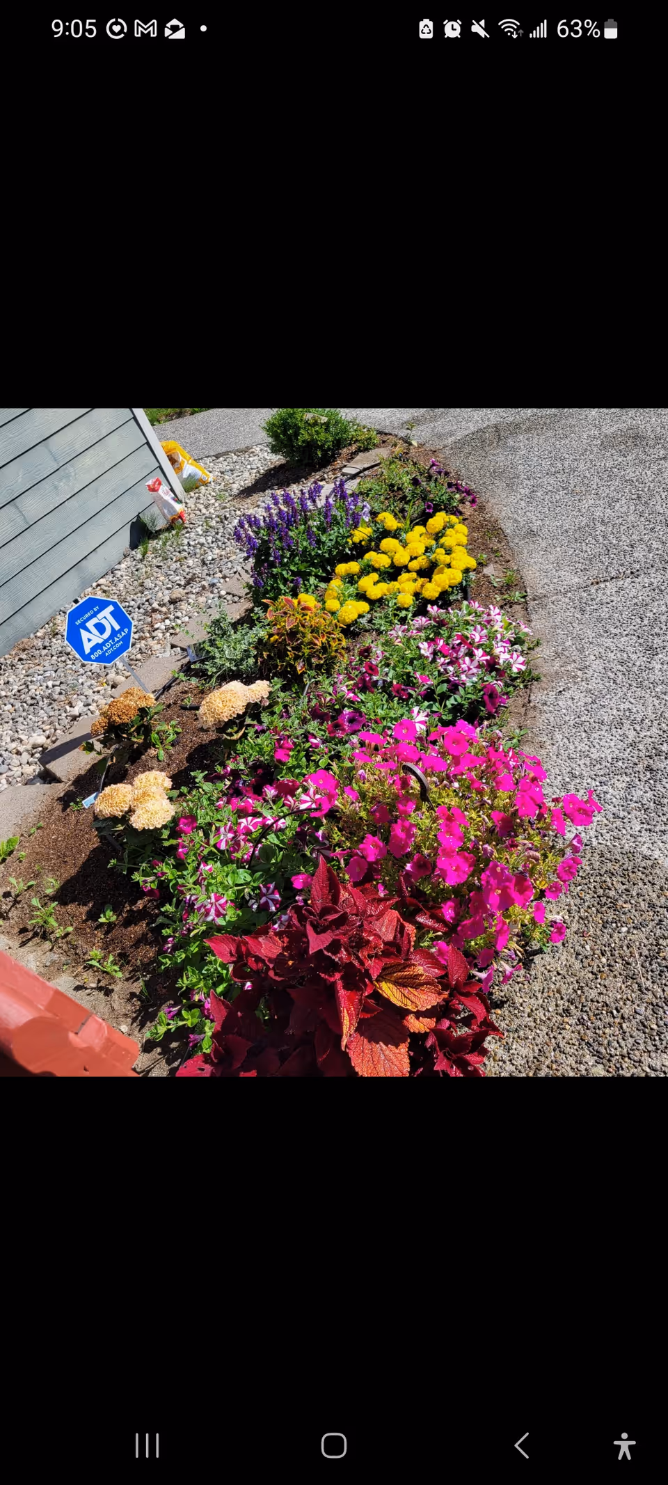 Colorful flower bed along a building exterior with an ADT security sign