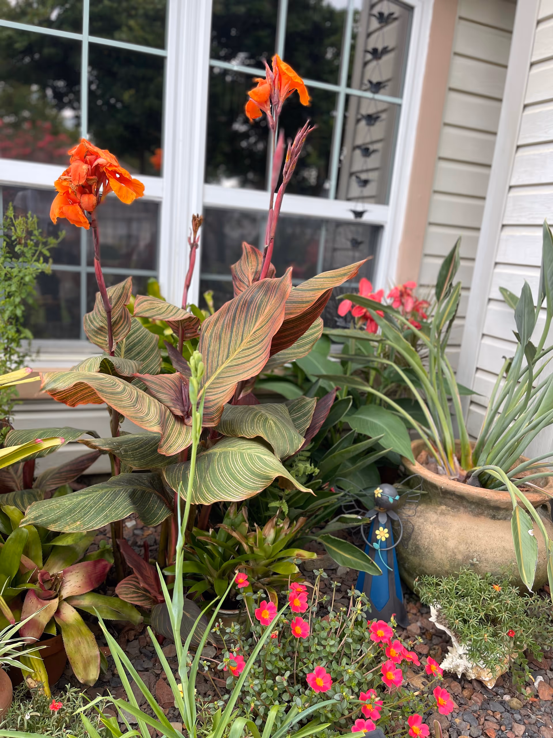 Colorful tropical plants and flowers in planters along a building exterior.