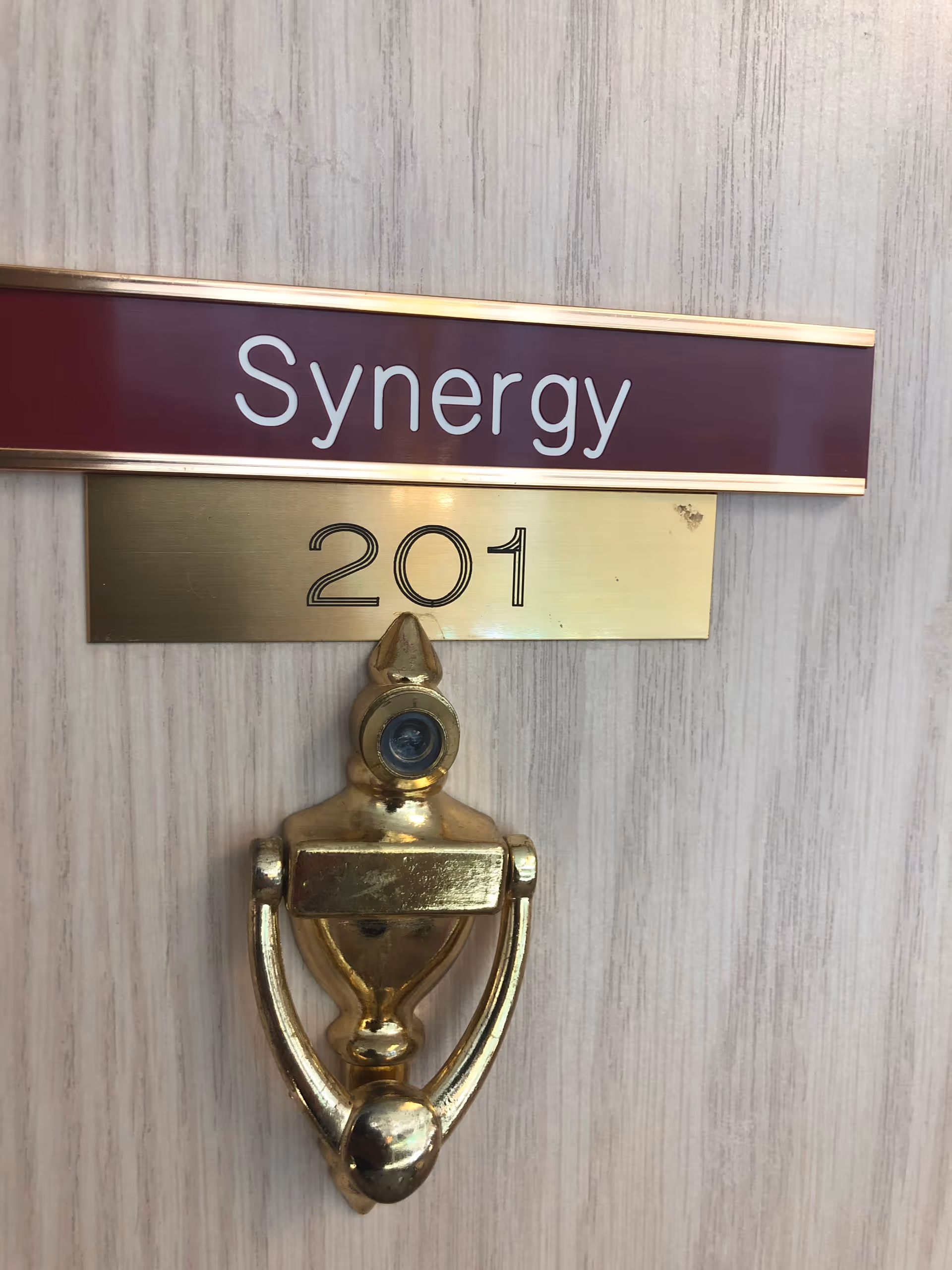Gold door knocker beneath a Synergy sign and the number 201 on a light wood door.