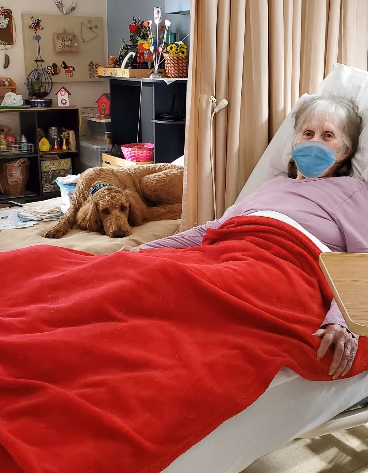 An elderly woman wearing a blue face mask lies in a hospital bed covered with a red blanket. A brown dog is resting on a bed or couch nearby. The background shows shelves with various decorative items and a curtain partially drawn between the beds.