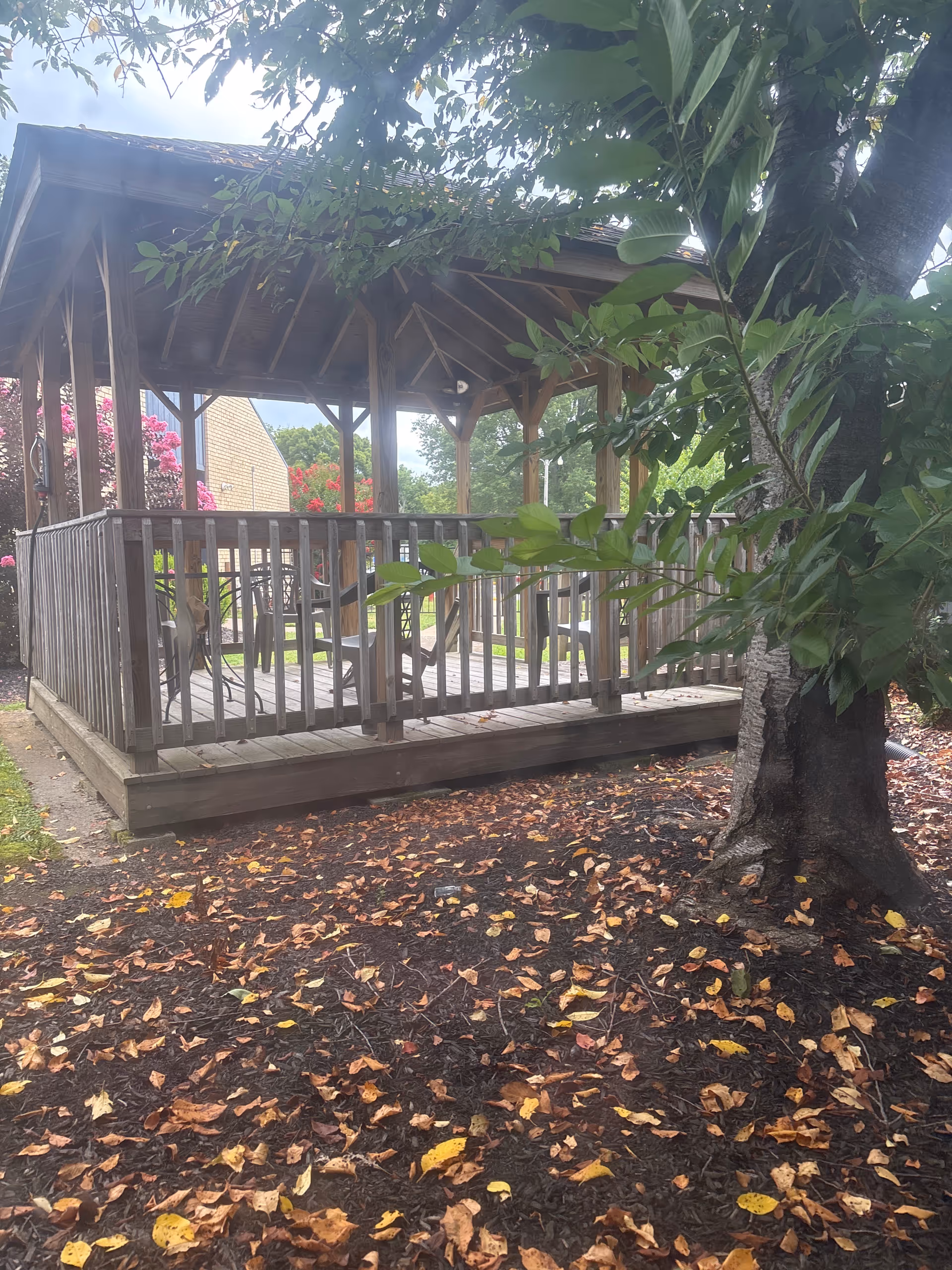 Outdoor wooden gazebo with railing on a deck, surrounded by fallen leaves and trees.