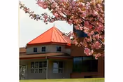Exterior view of a building with a red roof and large windows, partially obscured by blooming pink cherry blossom tree branches in the foreground.