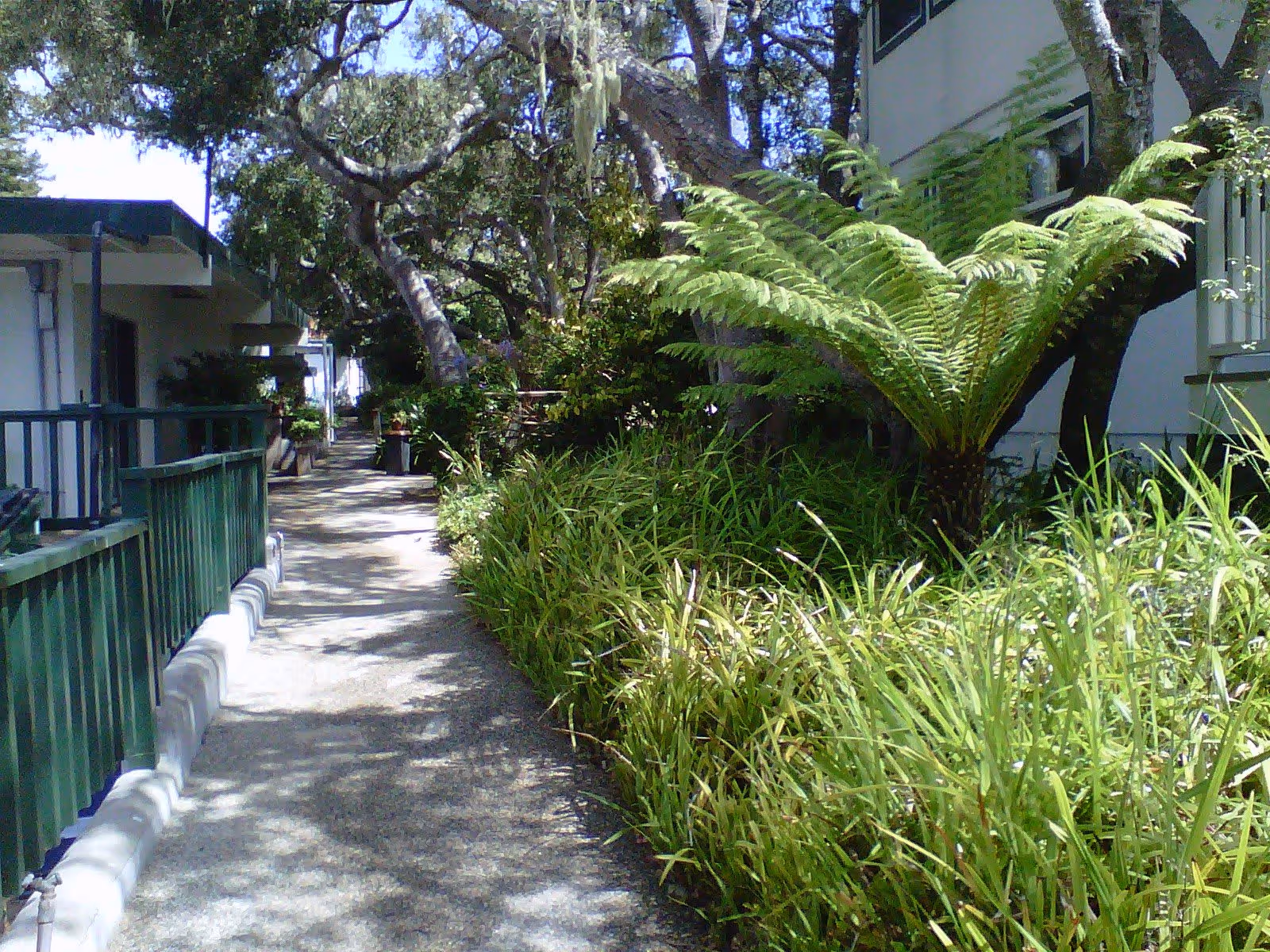 A shaded outdoor walkway bordered by green plants and trees, with residential buildings on either side. The path is paved and there is a green railing on the left side.