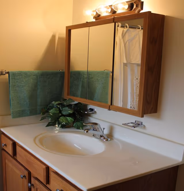 Bathroom sink with a white countertop and wooden cabinets below. Above the sink is a wooden framed mirror cabinet with three mirrored doors. A green towel hangs on a towel rack to the left, and a small green leafy plant is placed on the countertop. The wall is painted beige, and there is a light fixture with three bulbs above the mirror.
