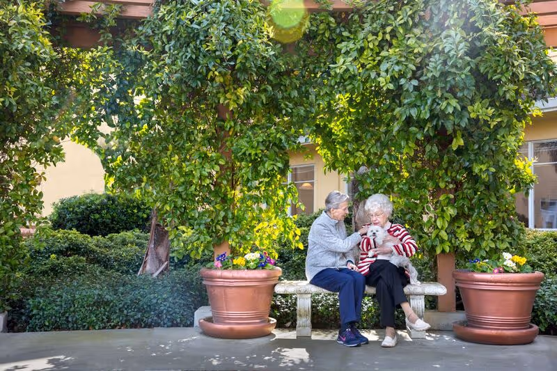 Two elderly women sitting on a stone bench under a pergola covered with green vines and plants. One woman is feeding a small white dog held by the other woman. Large potted plants with flowers flank the bench, and a building with windows is visible in the background.