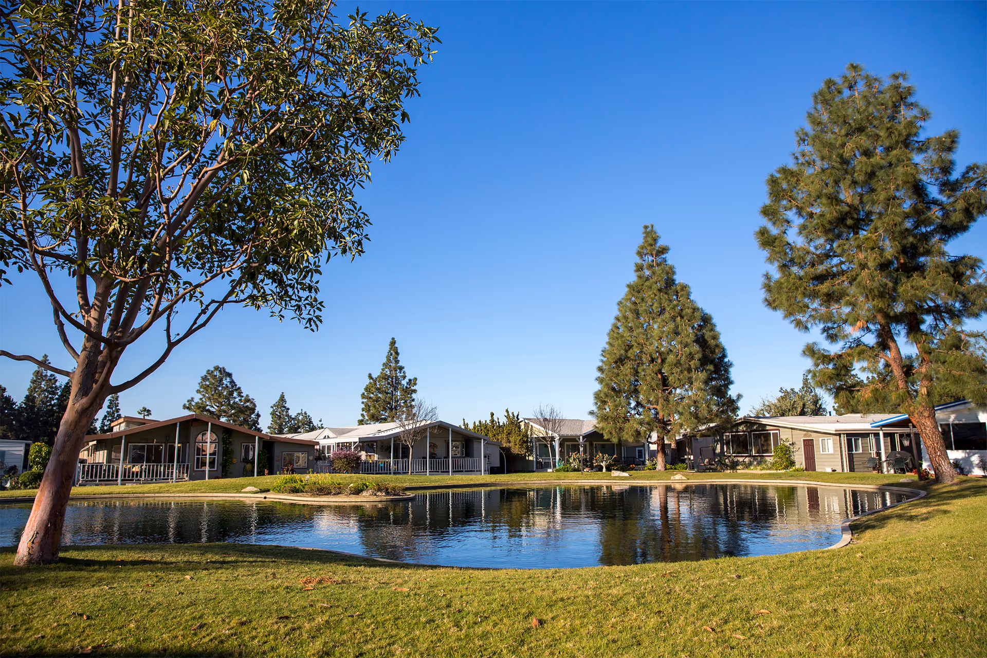 Photo of Forest Gardens - Senior Living Mobile Home Community