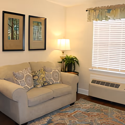 A cozy living room with a beige loveseat adorned with patterned throw pillows, a side table with a lamp and a potted plant, two framed artworks on the wall, a window with blinds and a valance, and a patterned area rug on the wooden floor.
