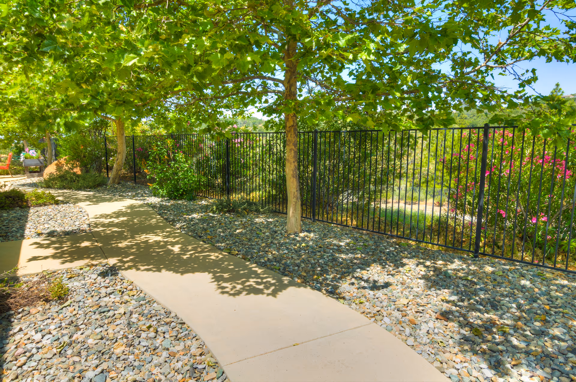 A sunny outdoor pathway lined with trees and bushes, bordered by a black metal fence. The ground around the path is covered with small rocks, and there are shadows of the trees cast on the walkway.
