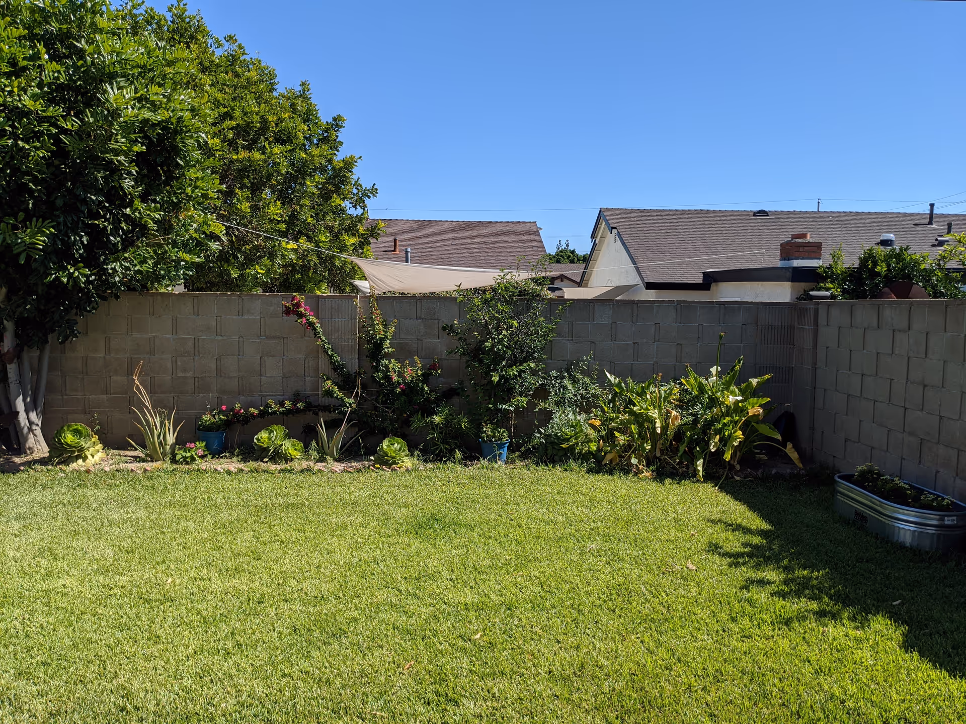 Photo of Bubbe & Zayde's Place IV
