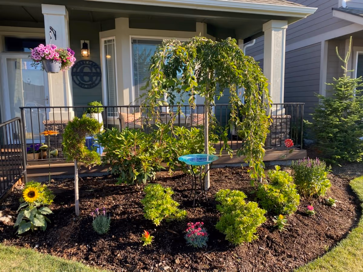 A landscaped garden bed in front of a porch with various green shrubs, flowering plants, a small weeping tree, and a decorative blue birdbath. The porch has a railing and a hanging basket with pink flowers. The house exterior is visible in the background with windows and a door.