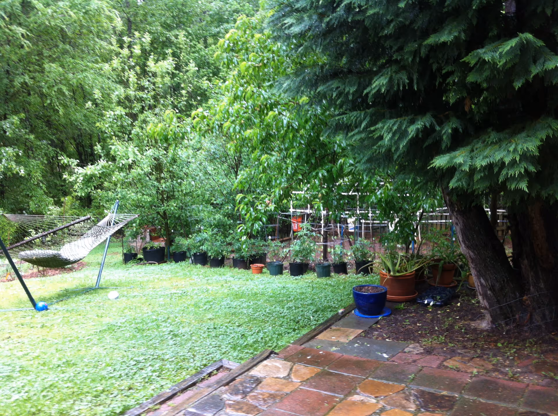 Photo 8 of Maria's Warm  Home
