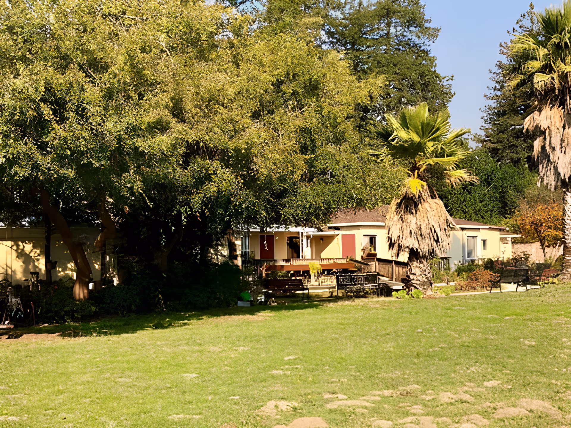 A single-story building partially obscured by large trees and palm trees, with a grassy lawn in the foreground and several benches scattered around the outdoor area under clear blue sky.